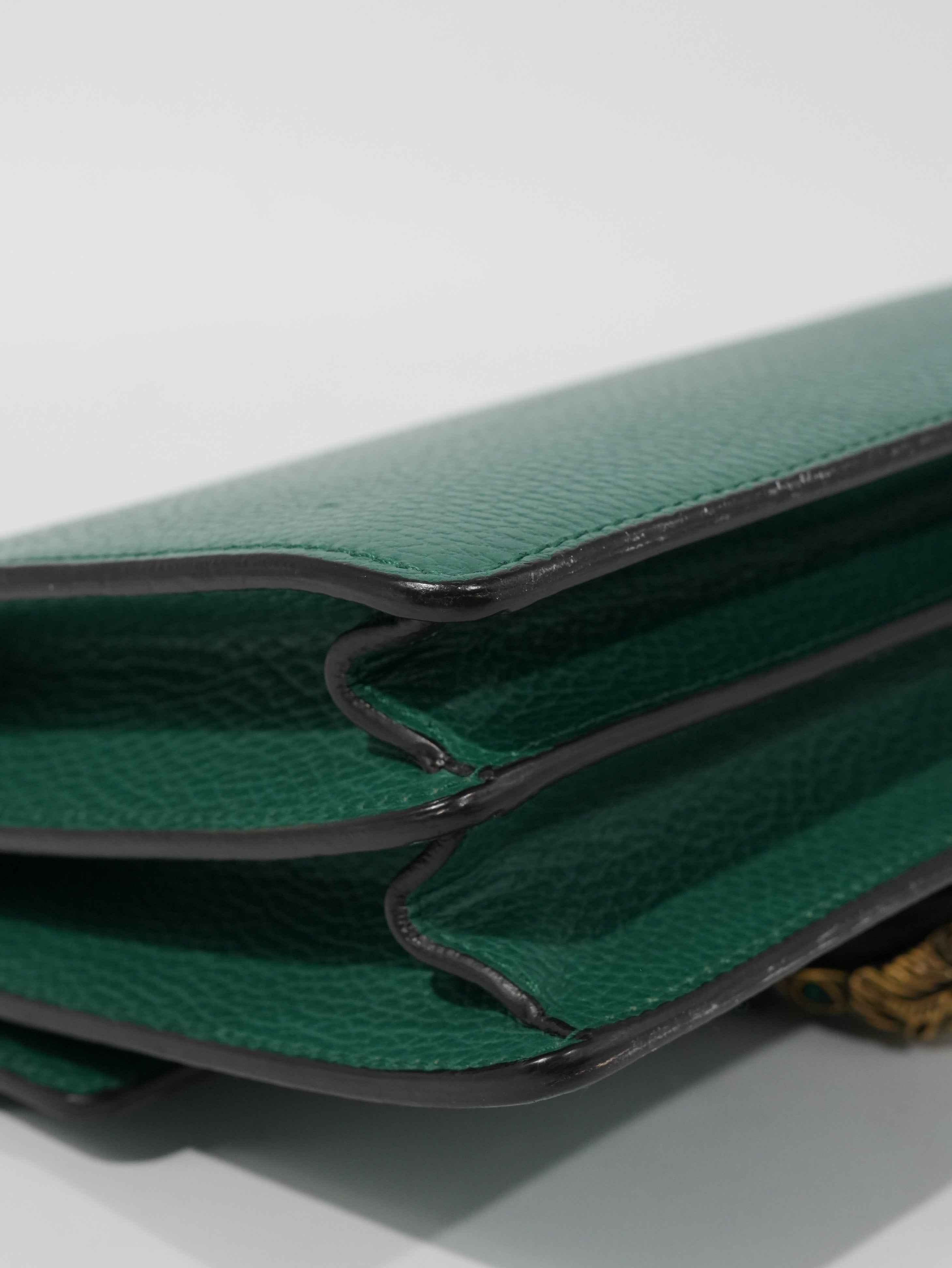 Gucci Dionysus in Pelle