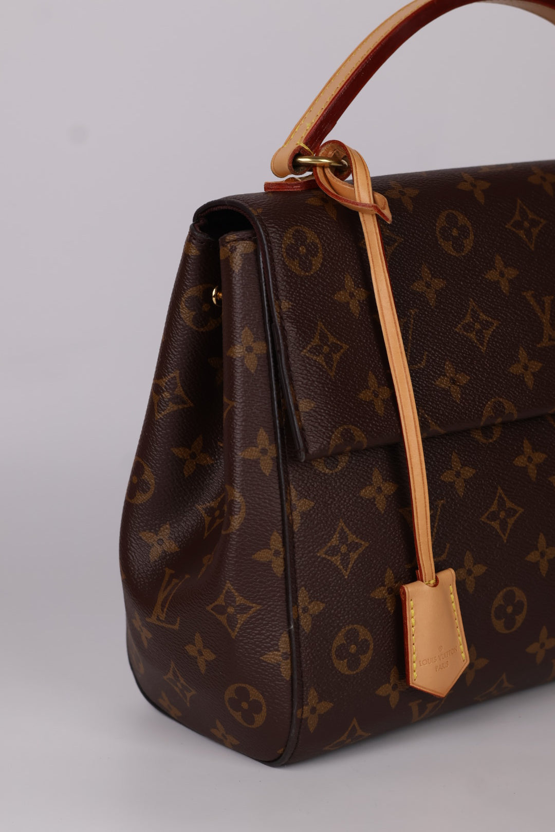 Louis Vuitton Cluny MM Monogram