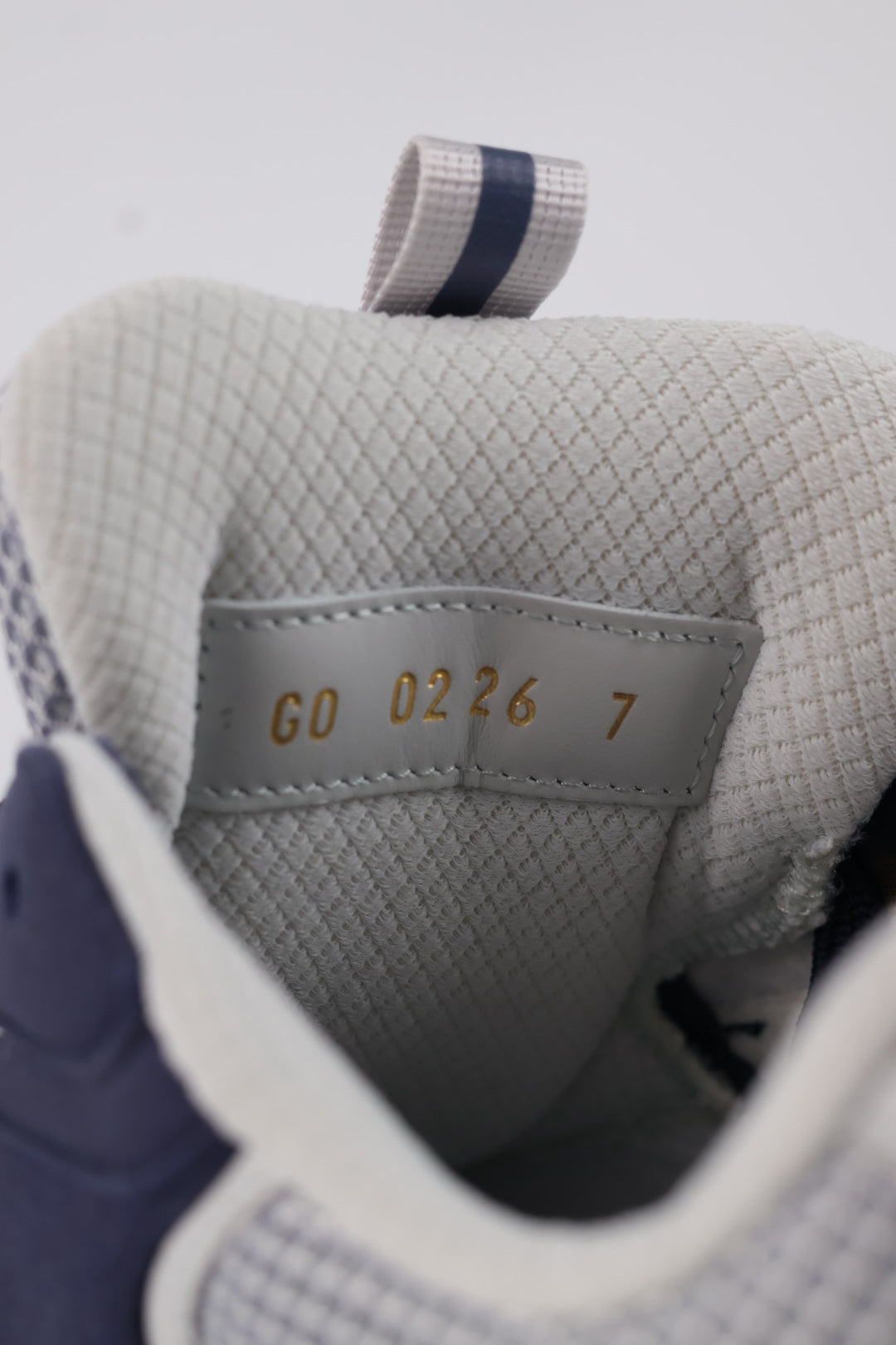 Louis Vuitton Tatic Runner