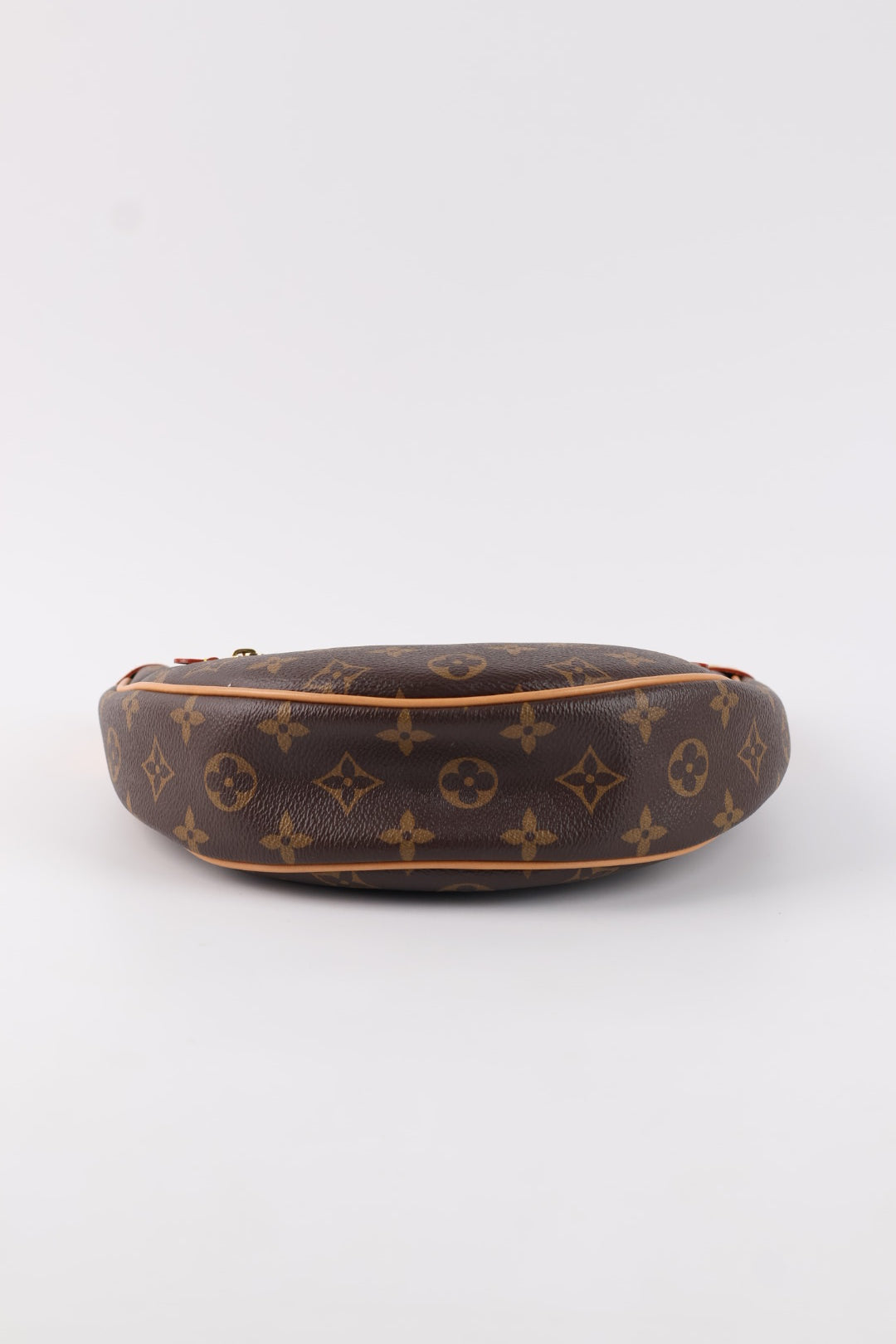 Louis Vuitton Loop Monogram