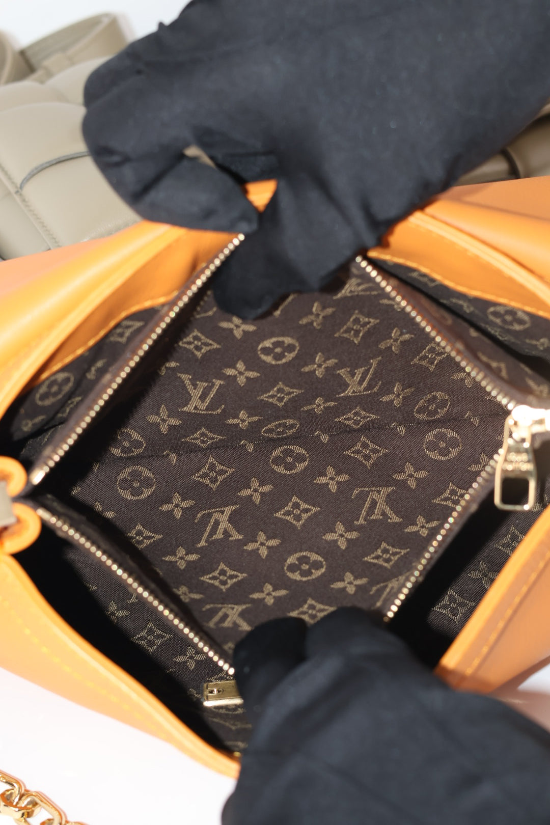 Louis Vuitton Dauphine Soft MM
