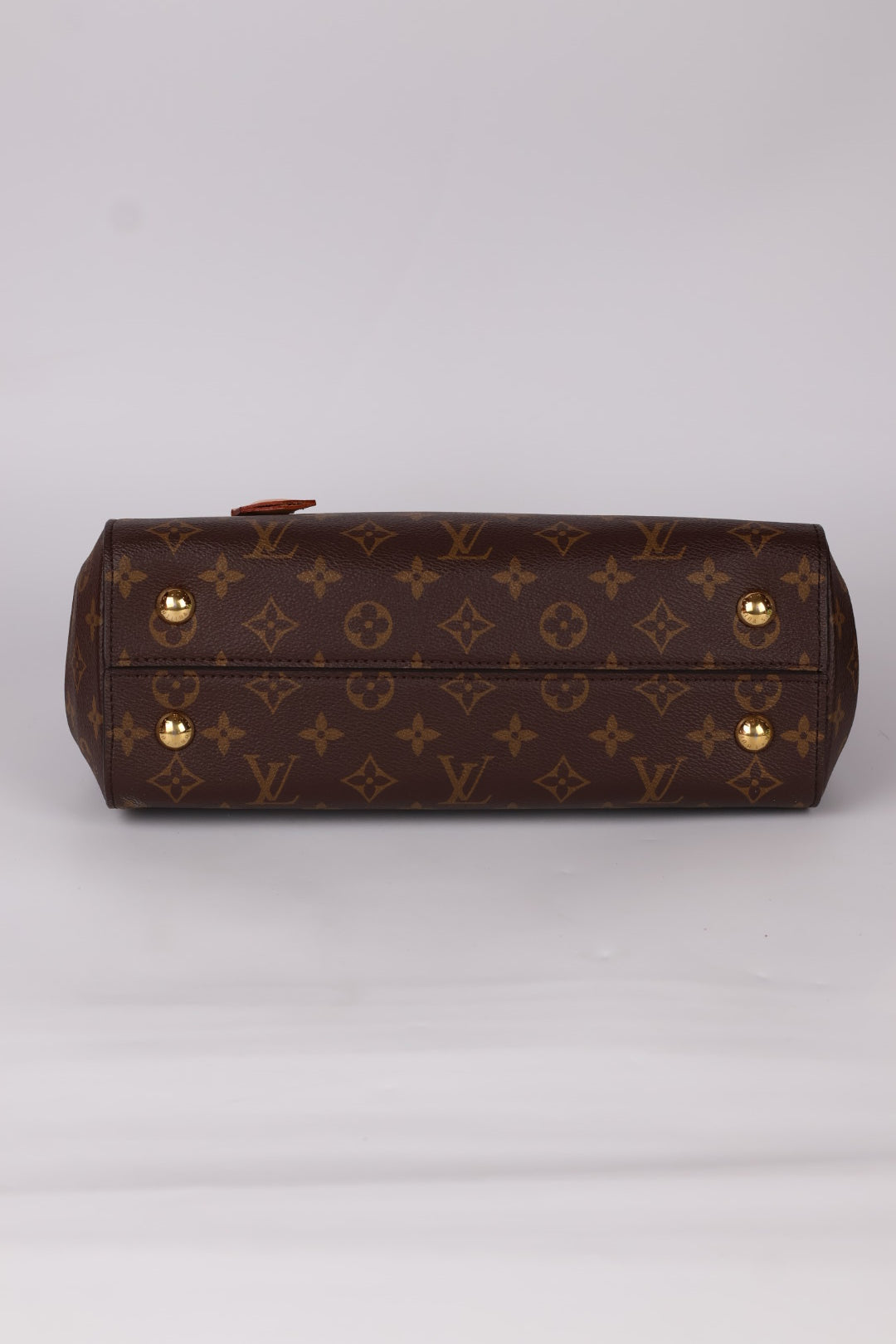 Louis Vuitton Cluny MM Monogram