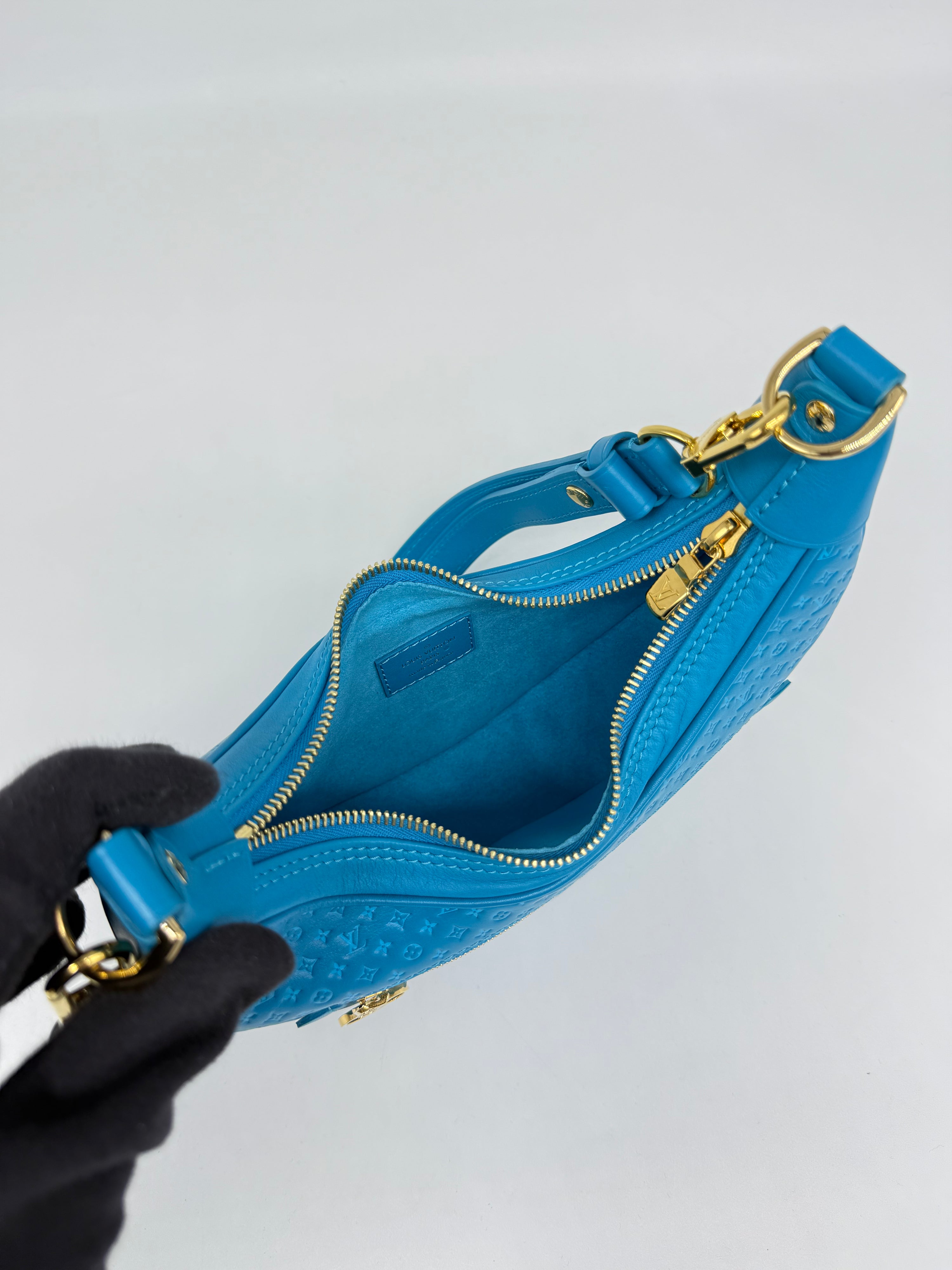 Louis Vuitton Loop Hobo Nanogram