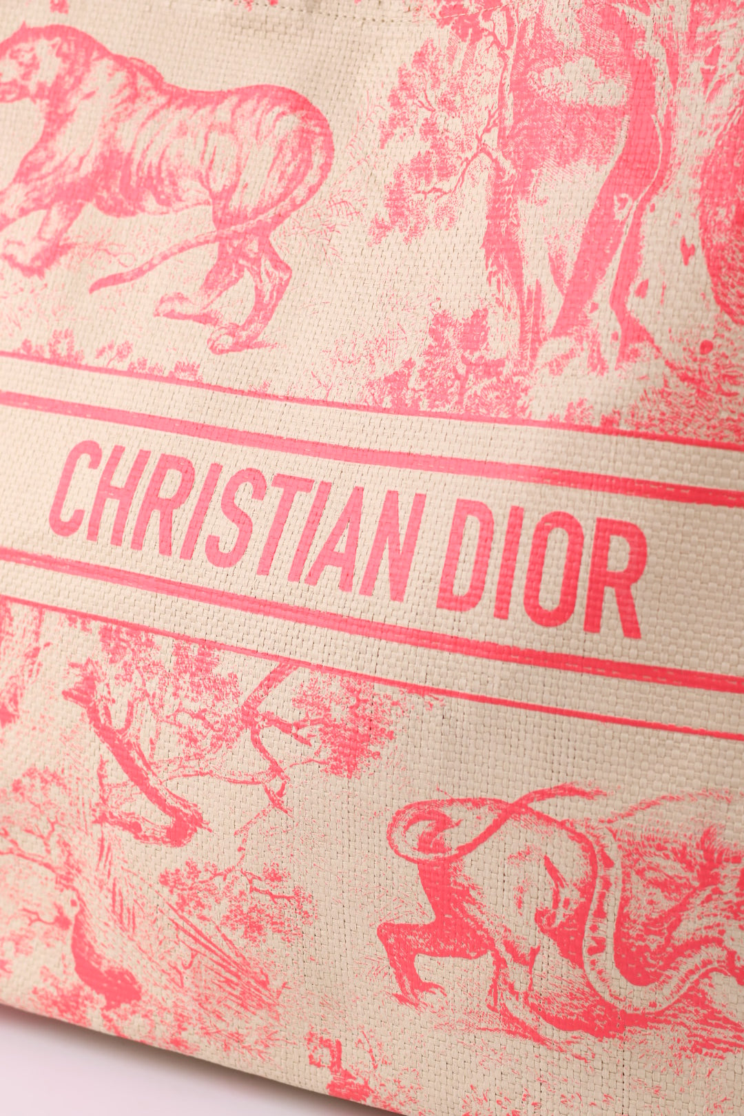 Dior Tote Riviera