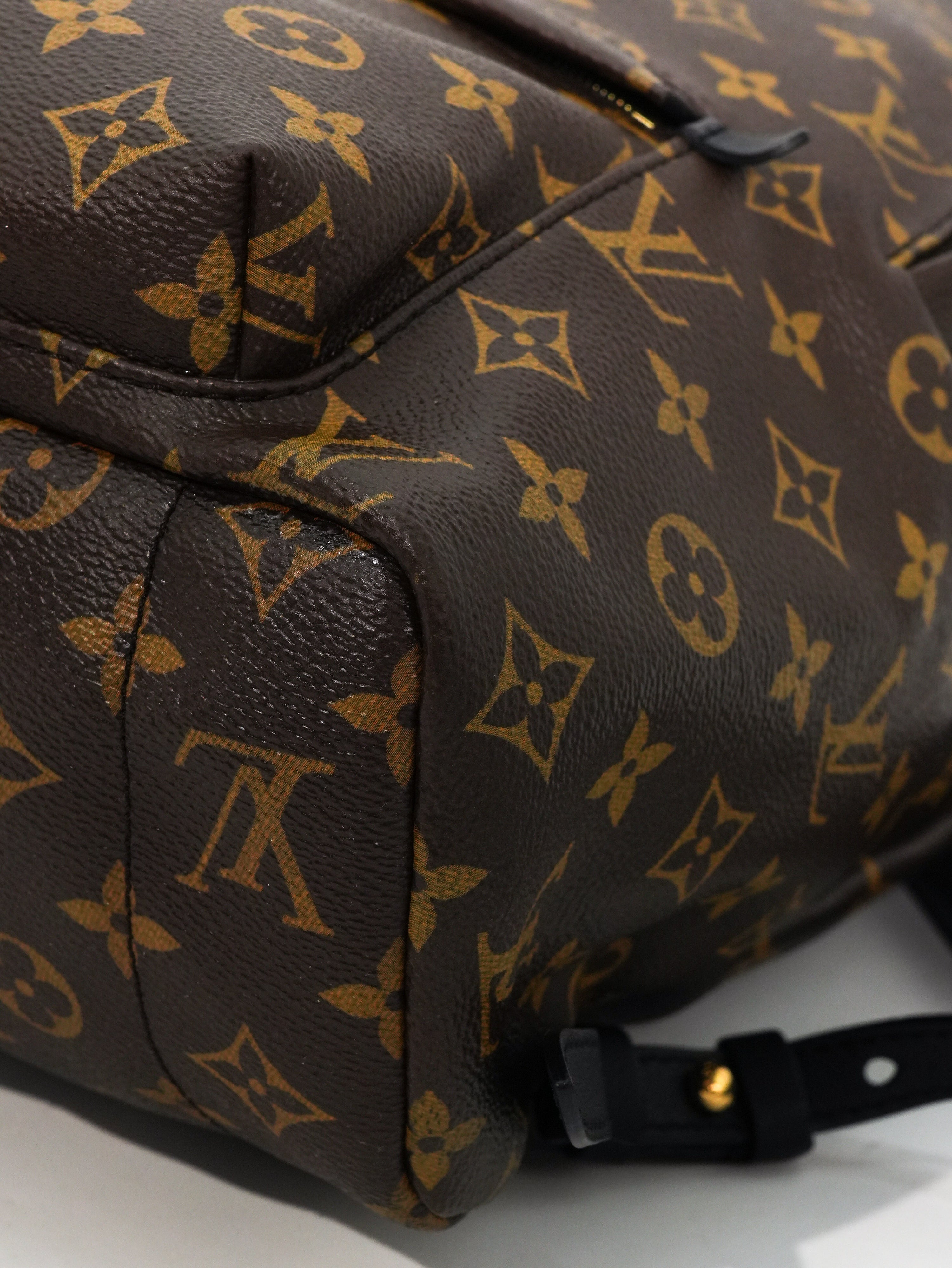Louis Vuitton Palm Spring MM Monogram