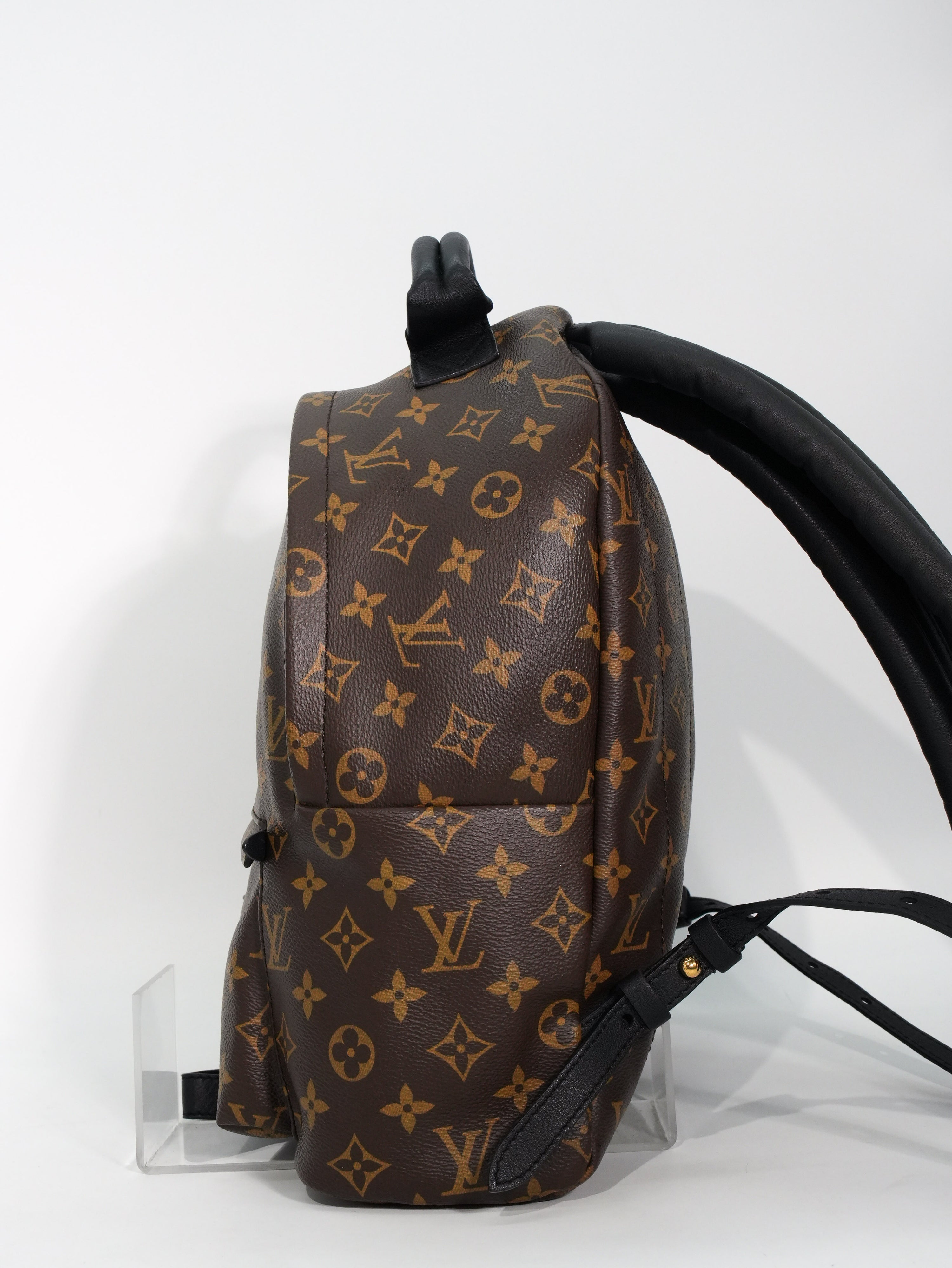 Louis Vuitton Palm Spring MM Monogram