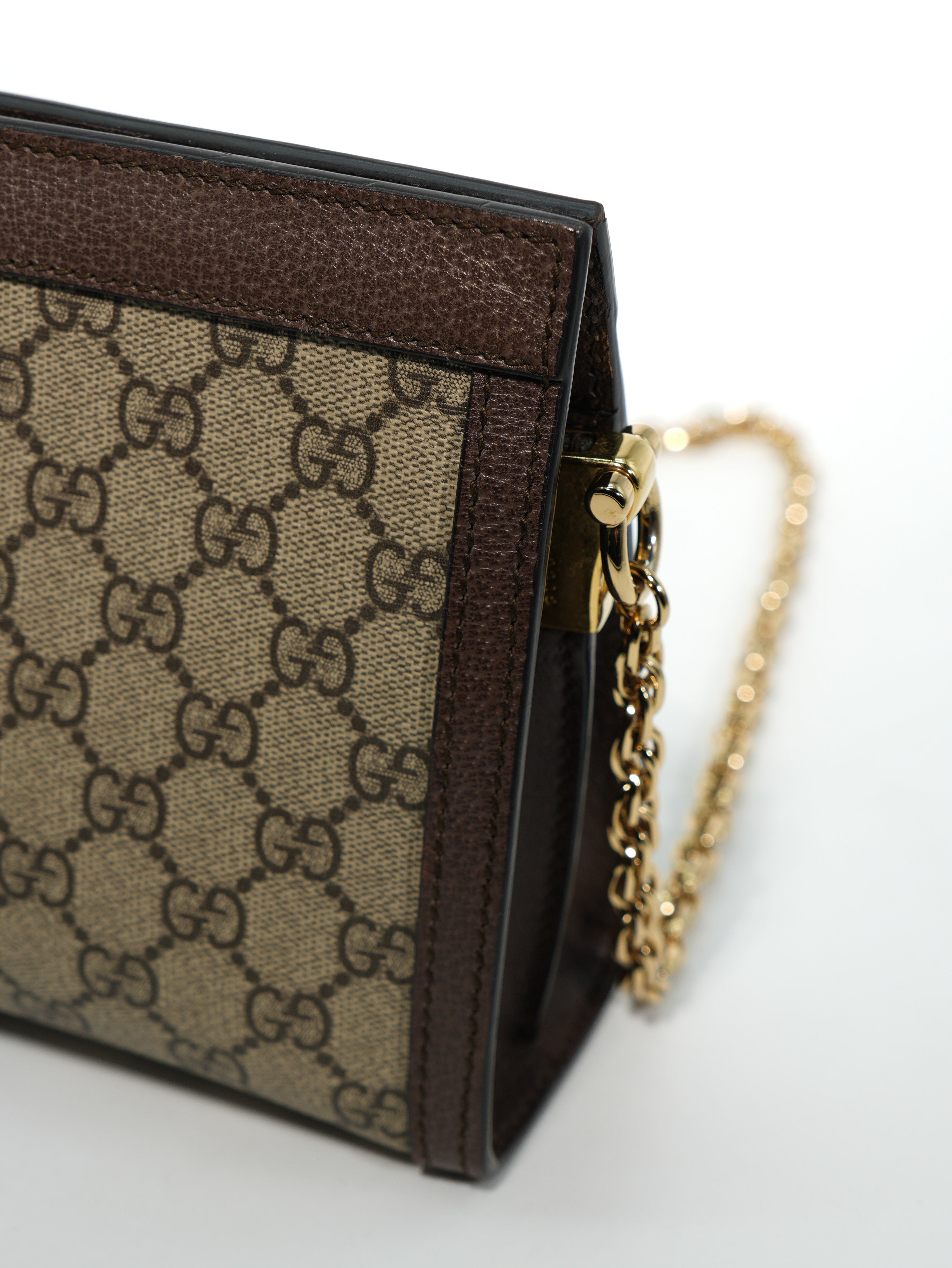 Gucci Ophidia Chain GG Supreme