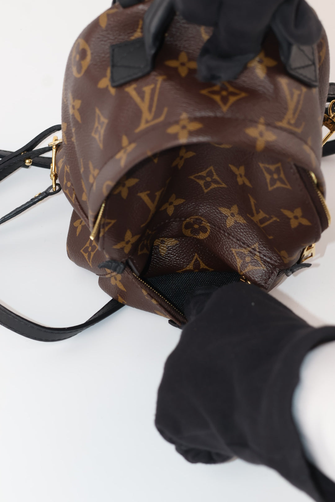 Louis Vuitton Mini Palm Spring Monogram