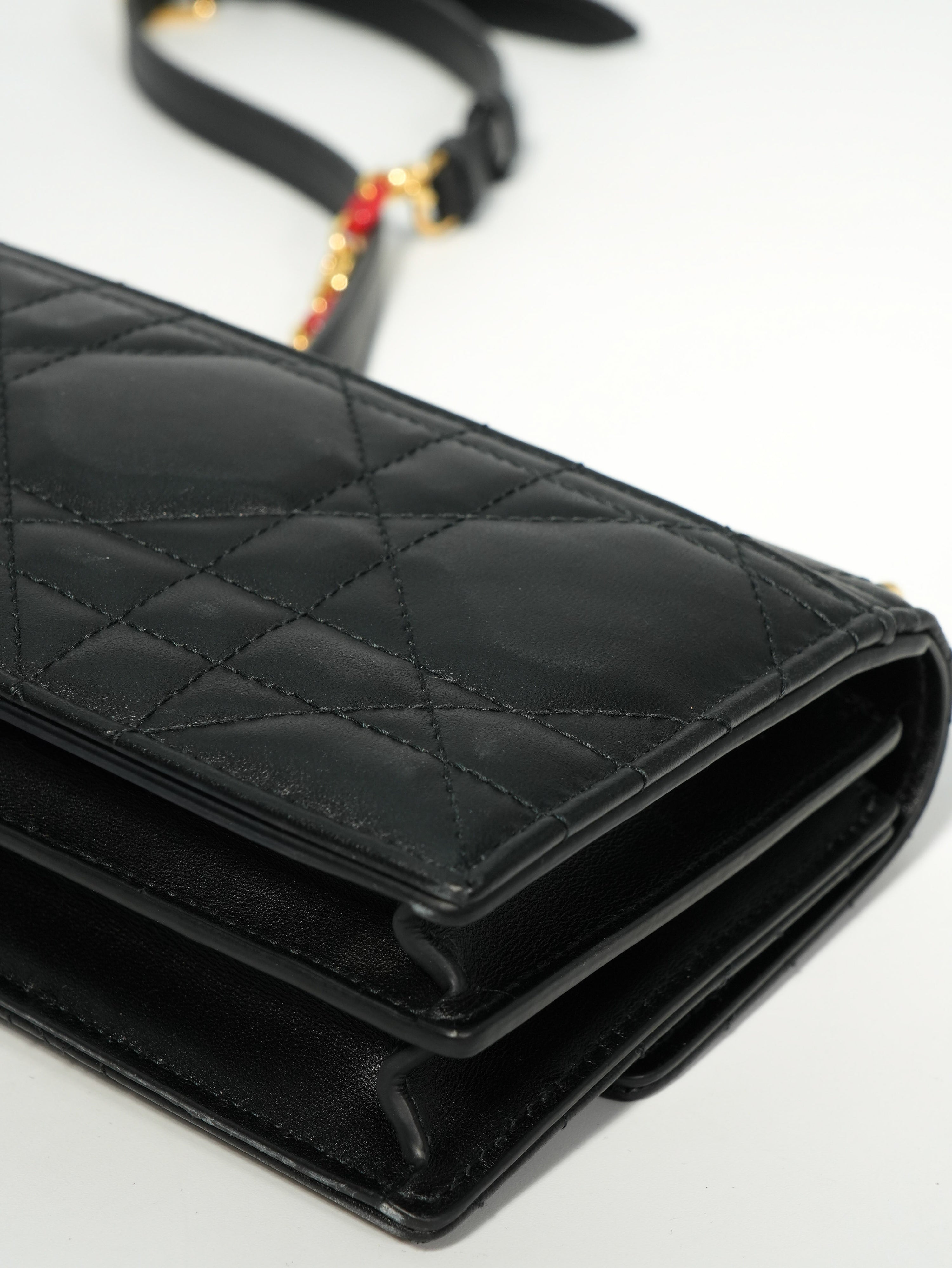 Dior Miss Caro Mini Dioramour