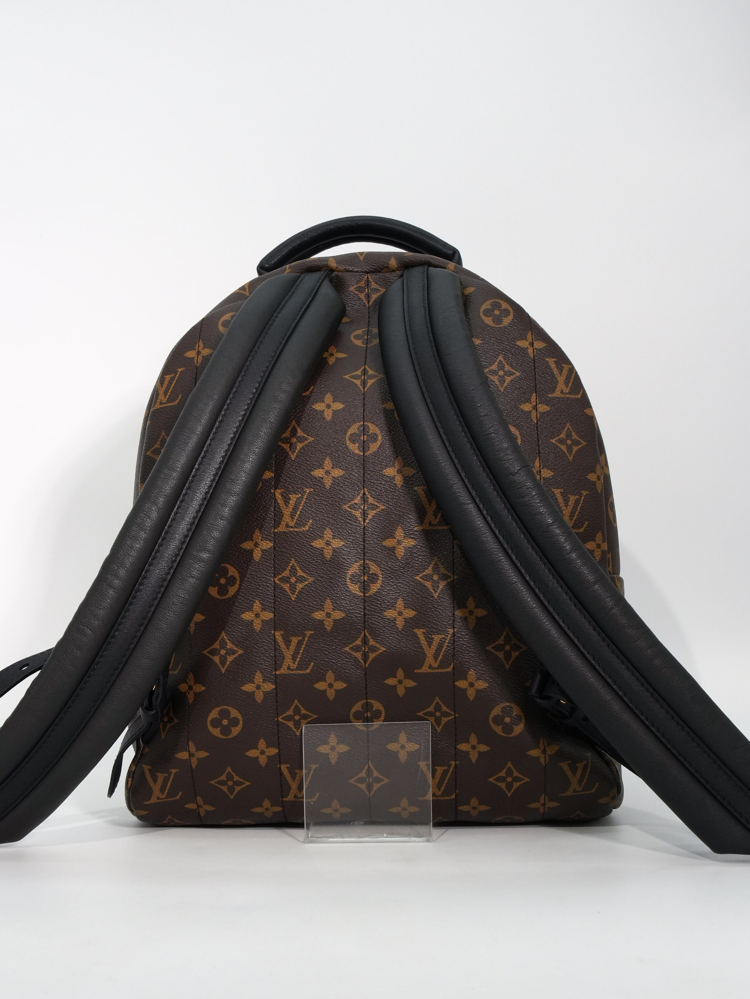 Louis Vuitton Palm Spring MM Monogram