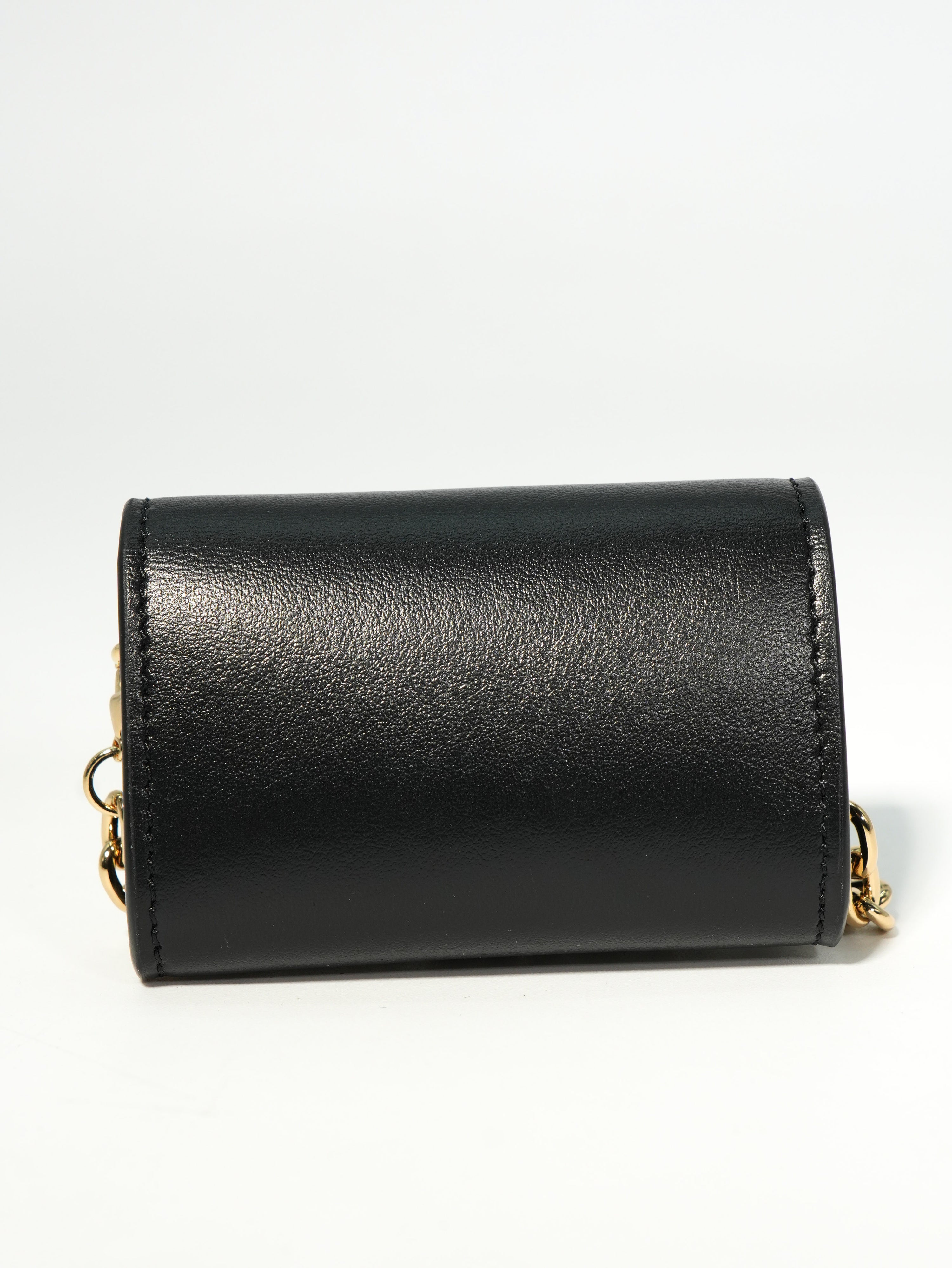 Louis Vuitton Link Micro