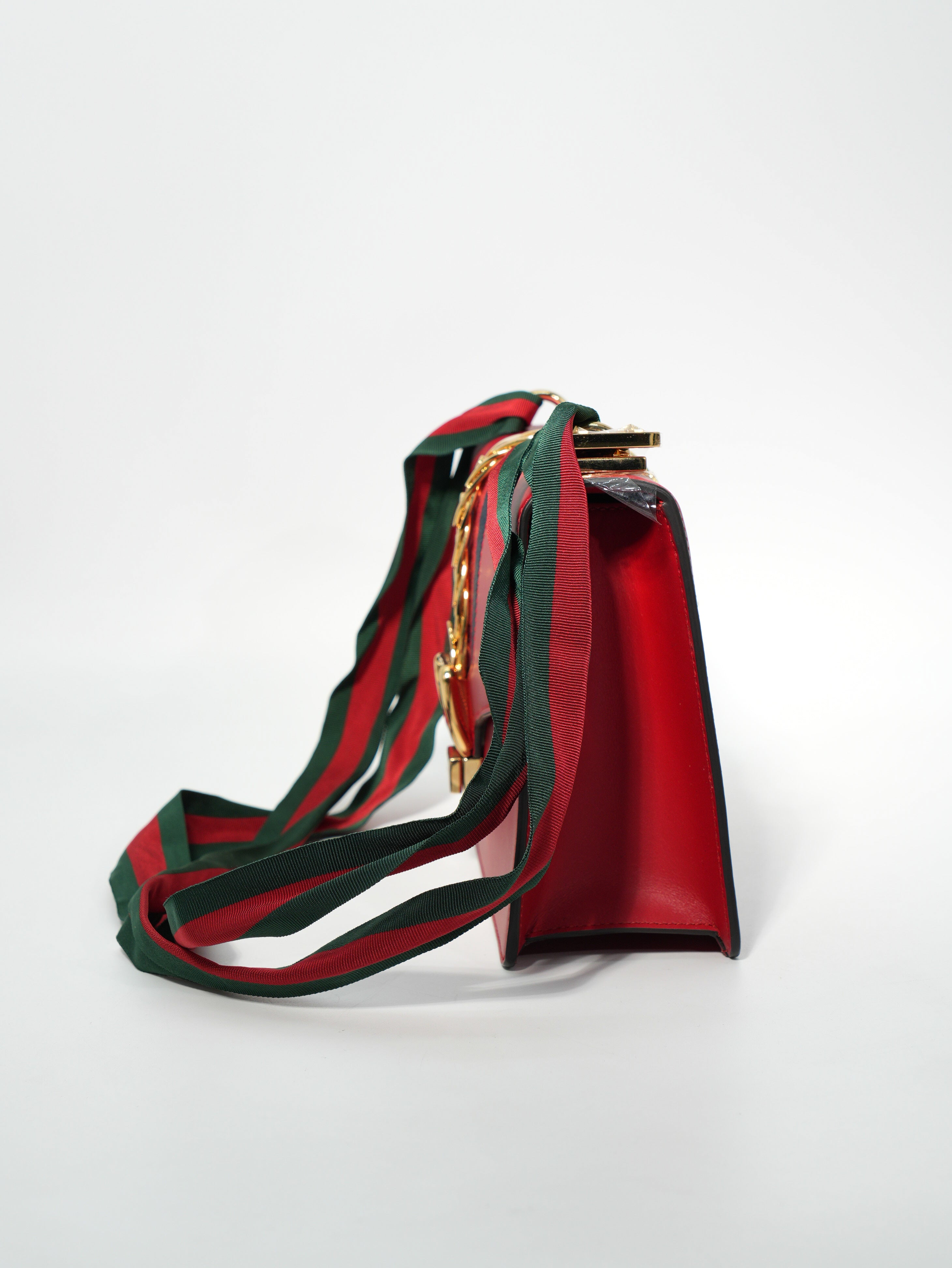 Gucci Sylvie in Pelle