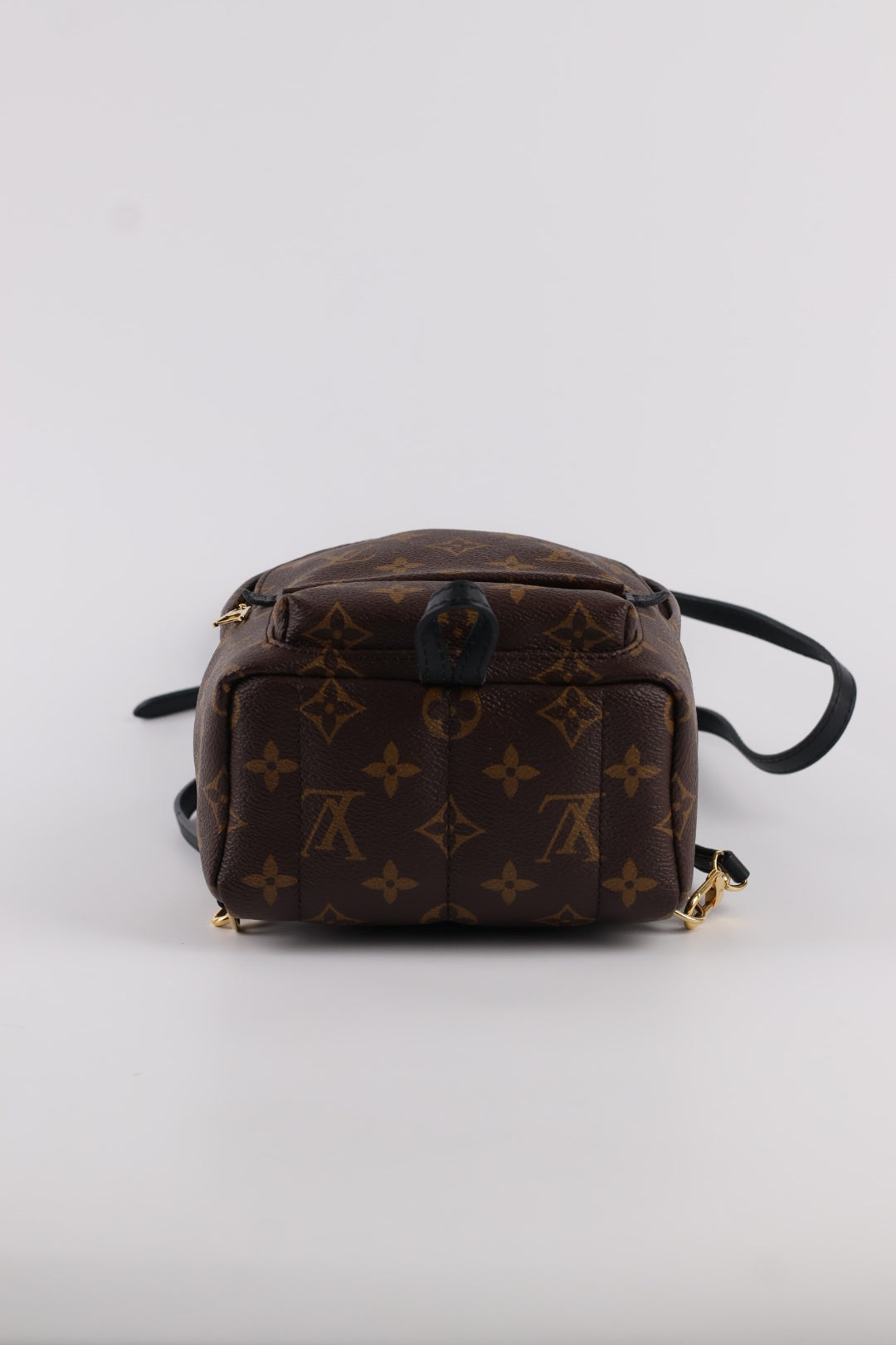 Louis Vuitton Mini Palm Spring Monogram