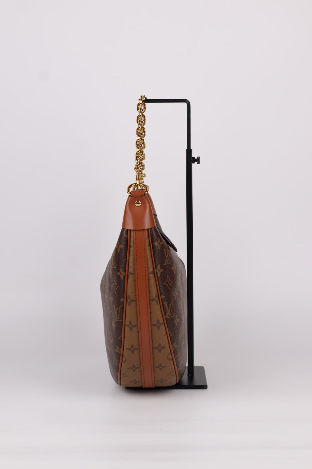 Louis Vuitton Loop Hobo Monogram