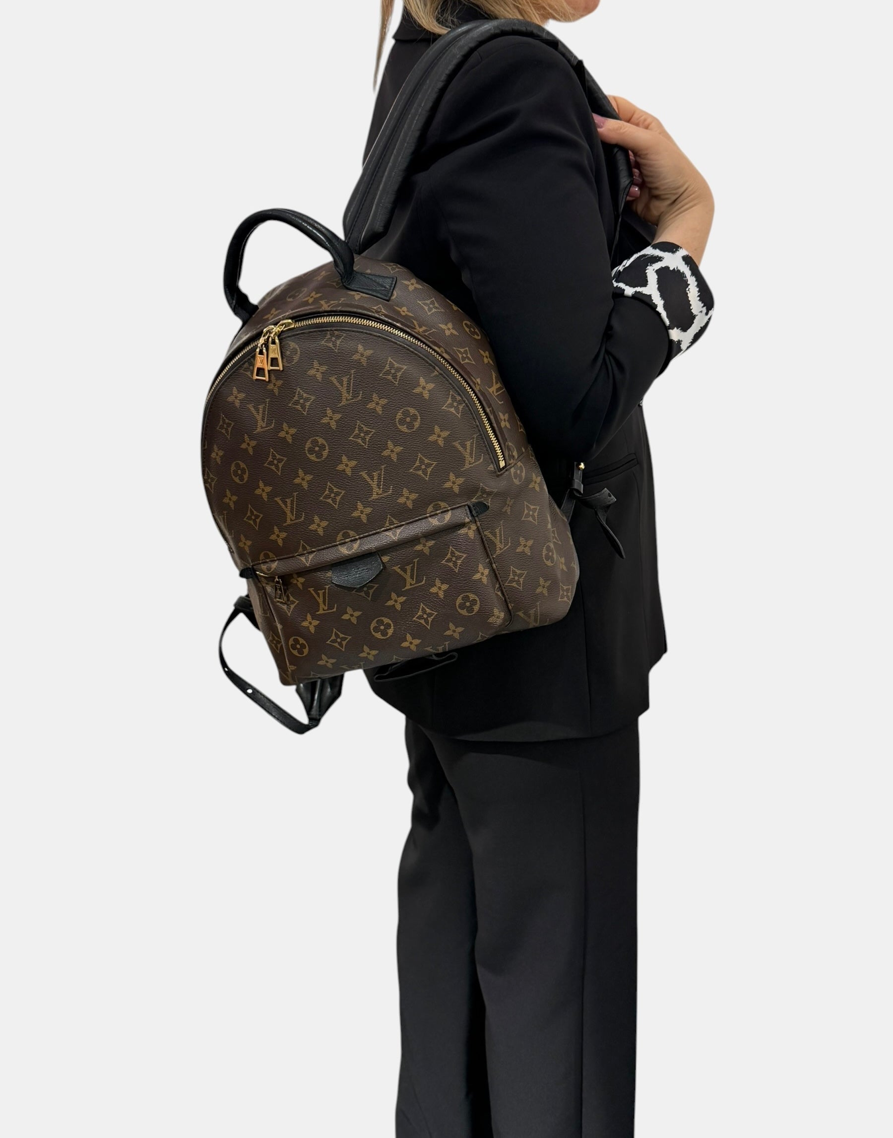 Louis Vuitton Palm Spring MM Monogram