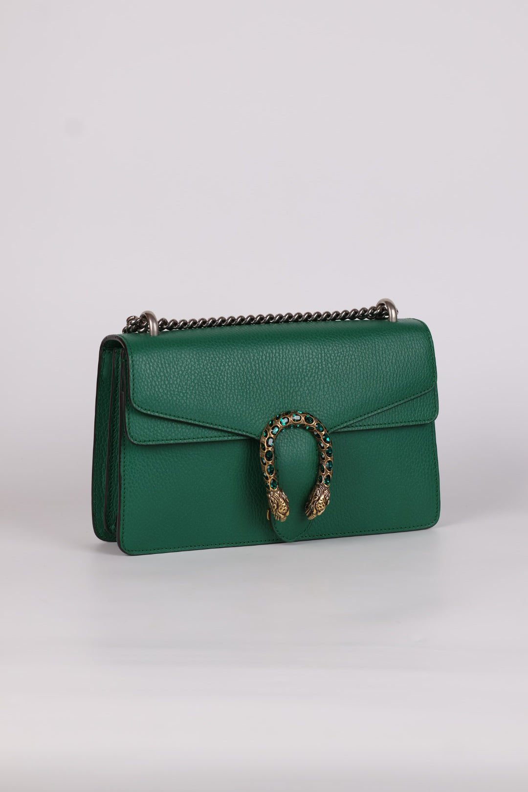 Gucci Dionysus in Pelle