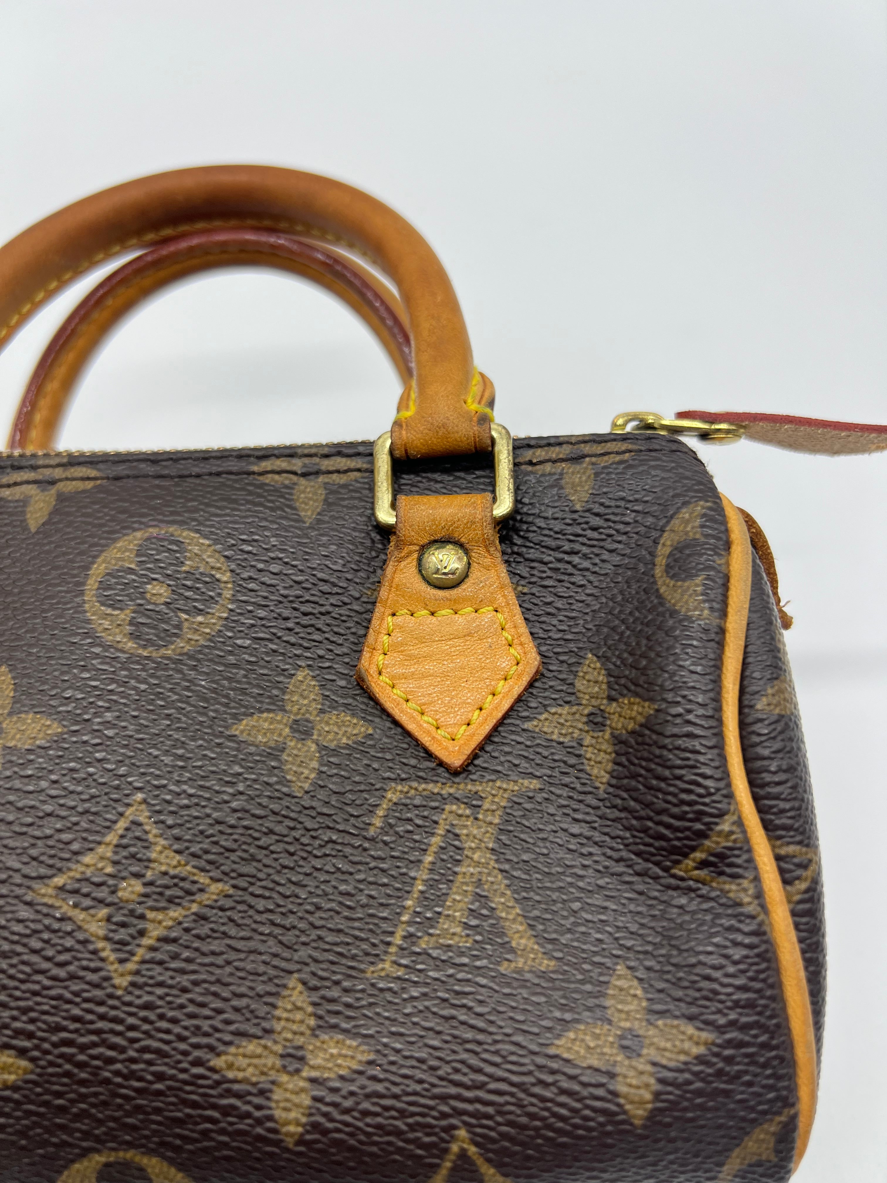 Louis Vuitton Nano Speedy Monogram