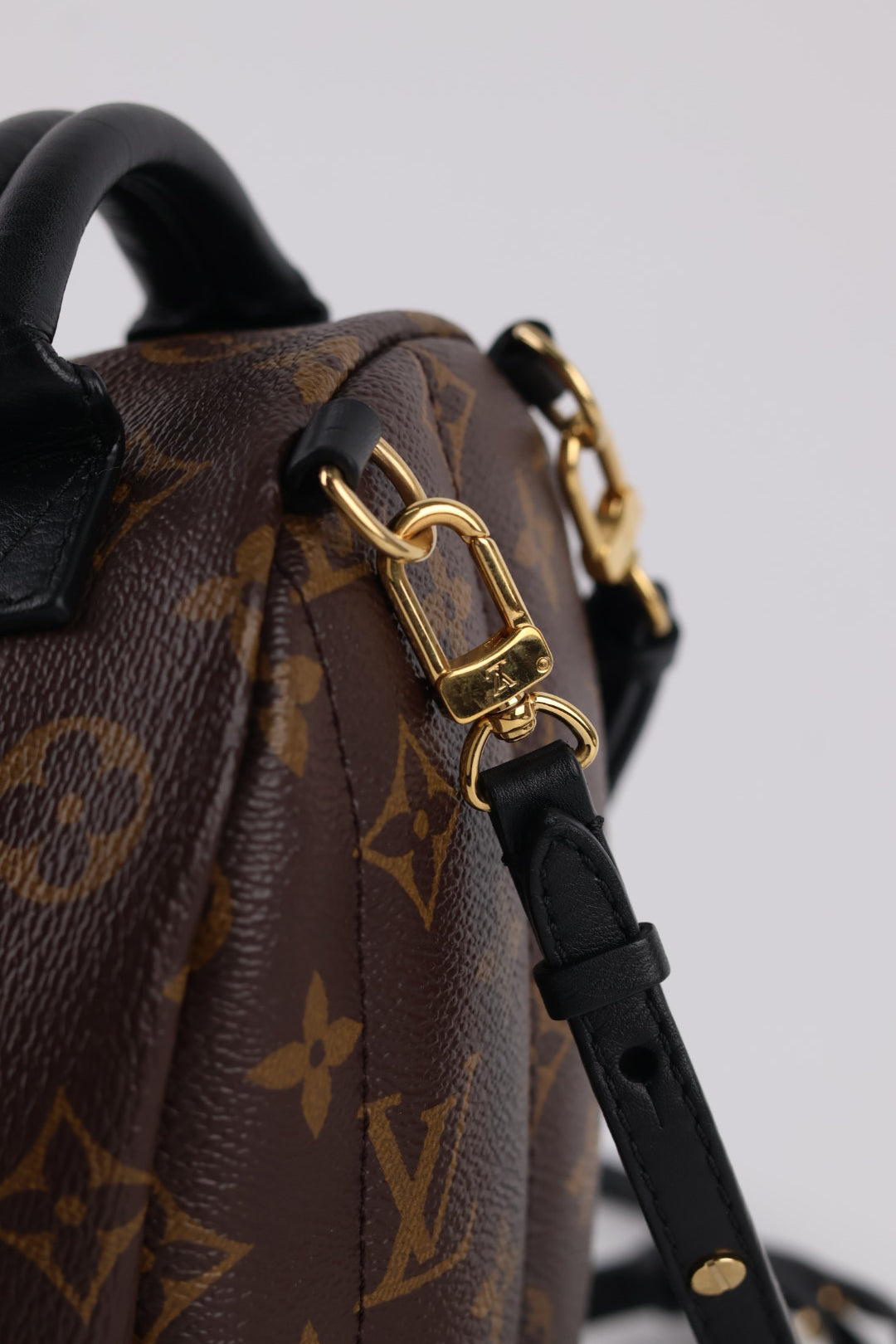 Louis Vuitton Mini Palm Spring Monogram