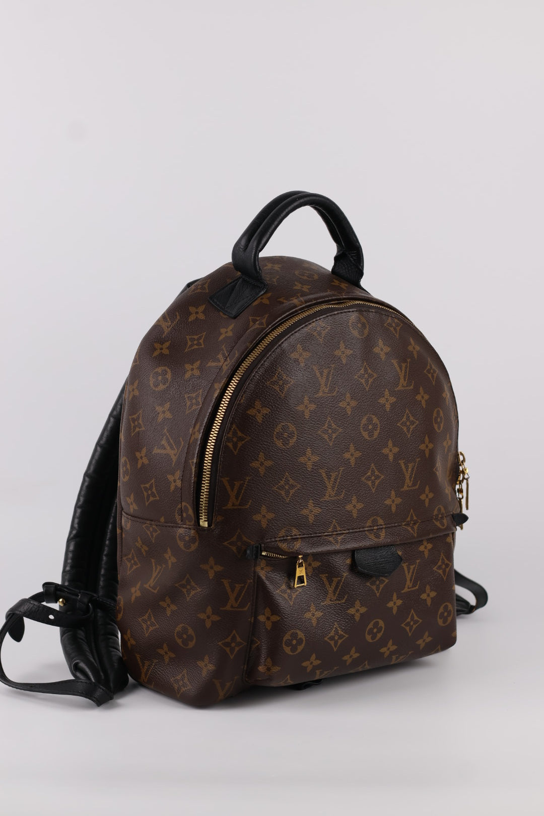 Louis Vuitton Palm Spring MM Monogram