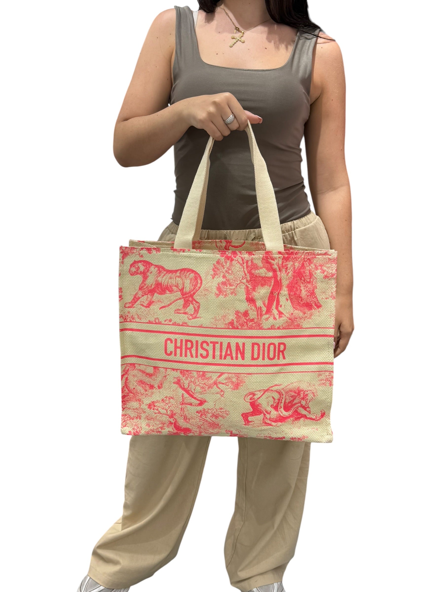 Dior Tote Riviera