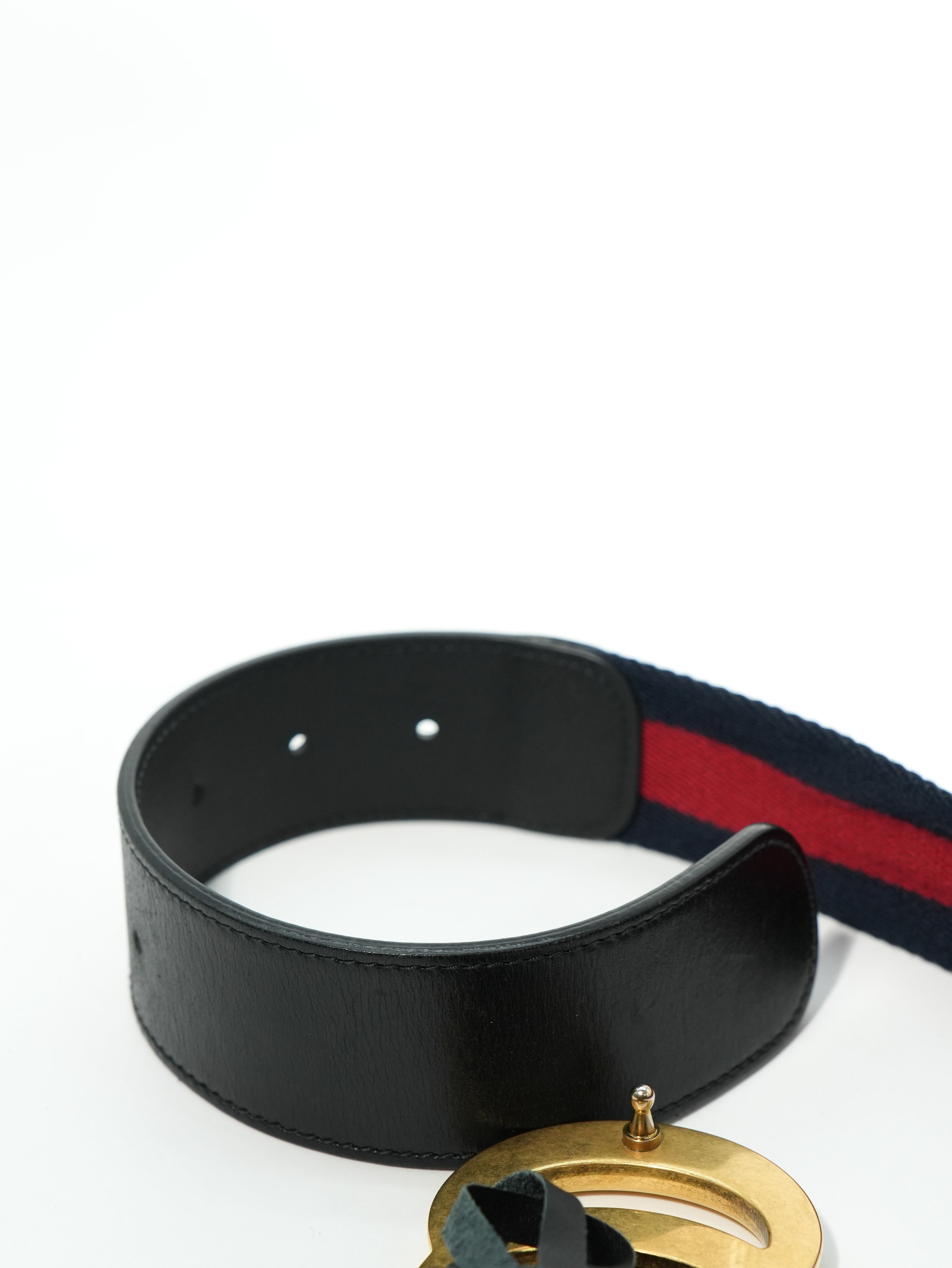 Gucci Cintura Marmont Web
