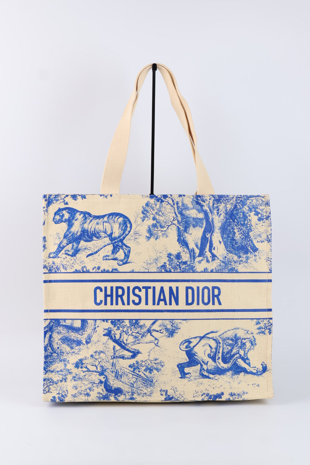 Dior Tote Riviera