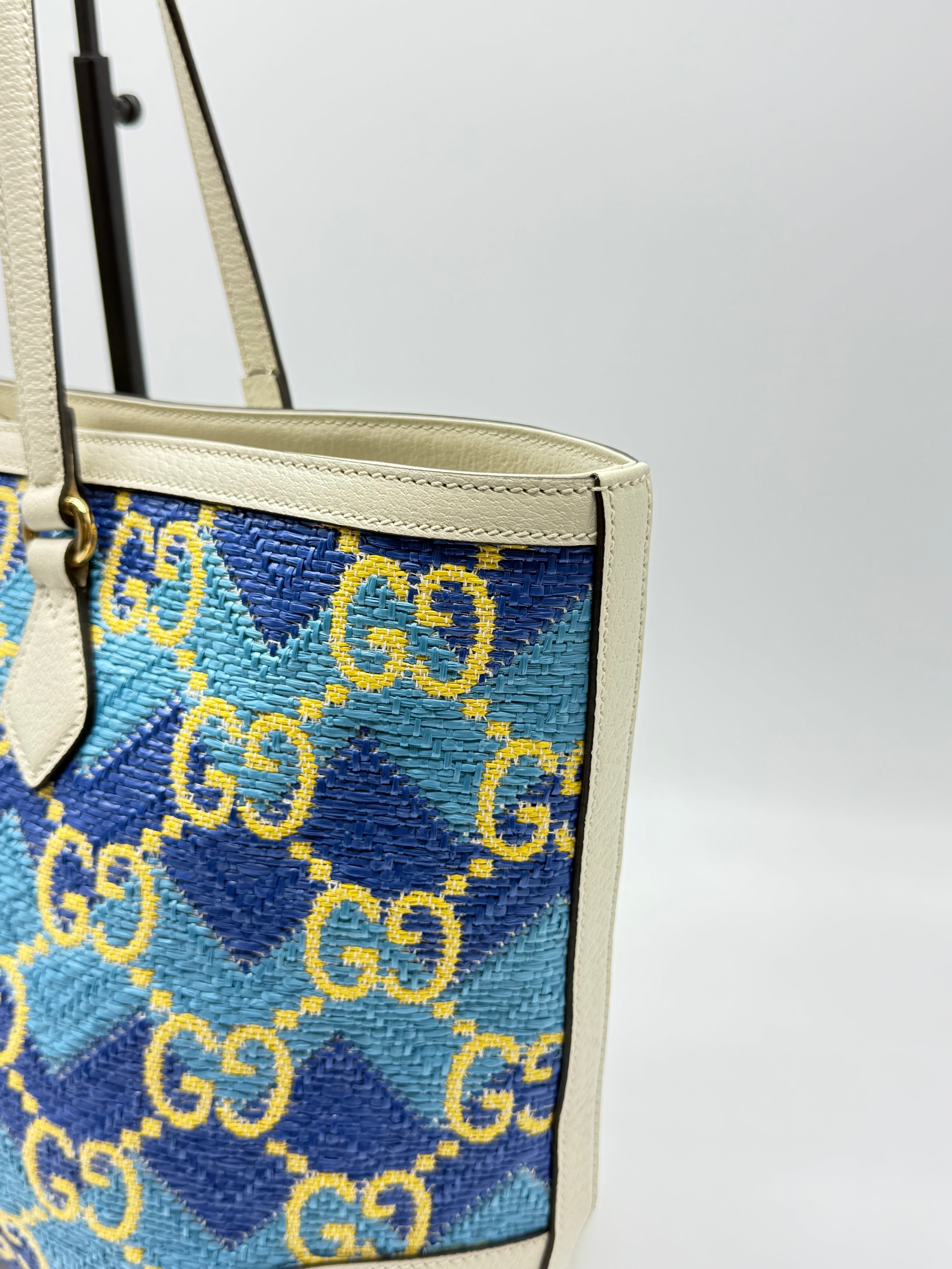 Gucci Ophidia Shopping Destination