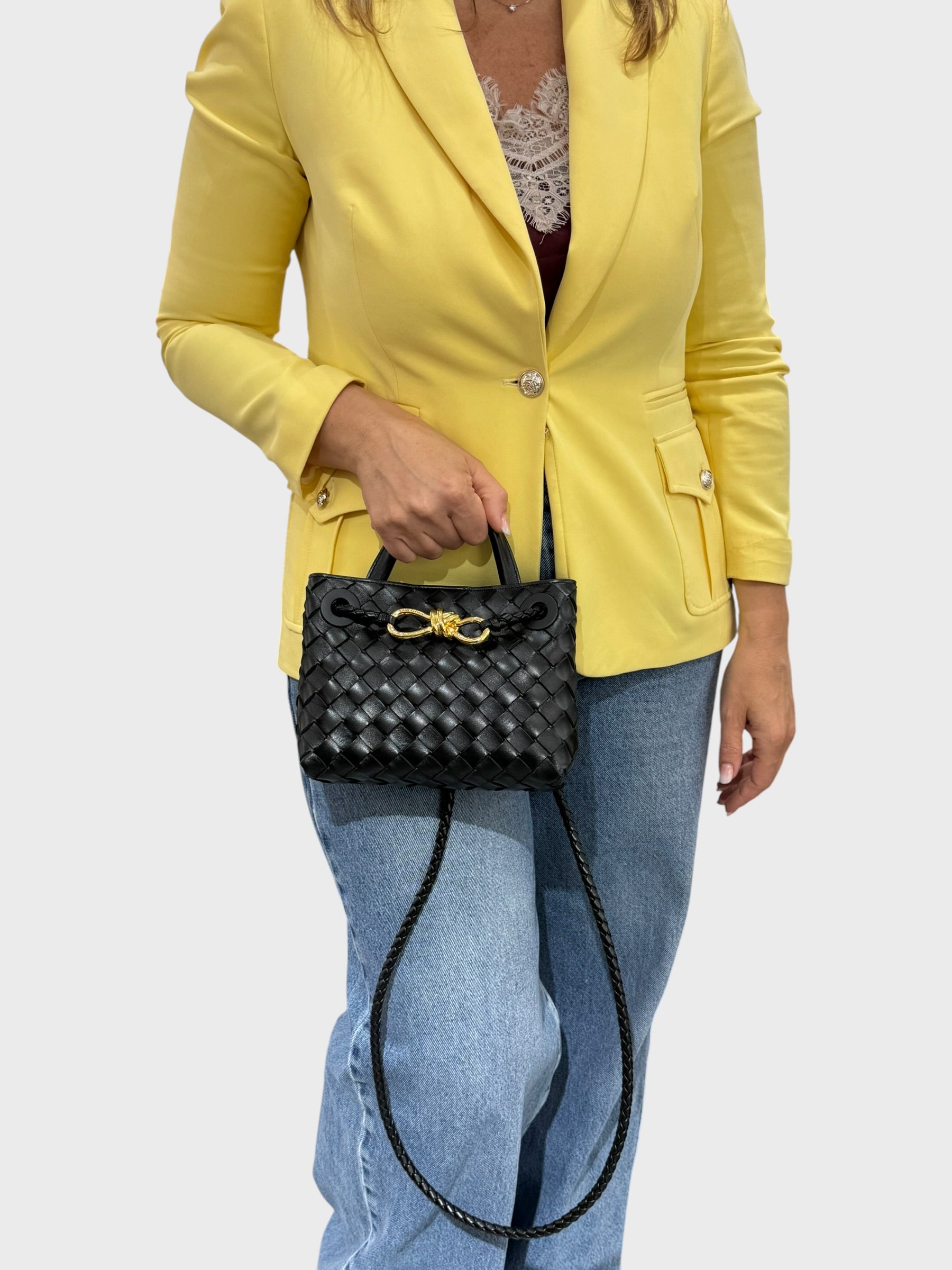 Bottega Veneta Andiamo Mini