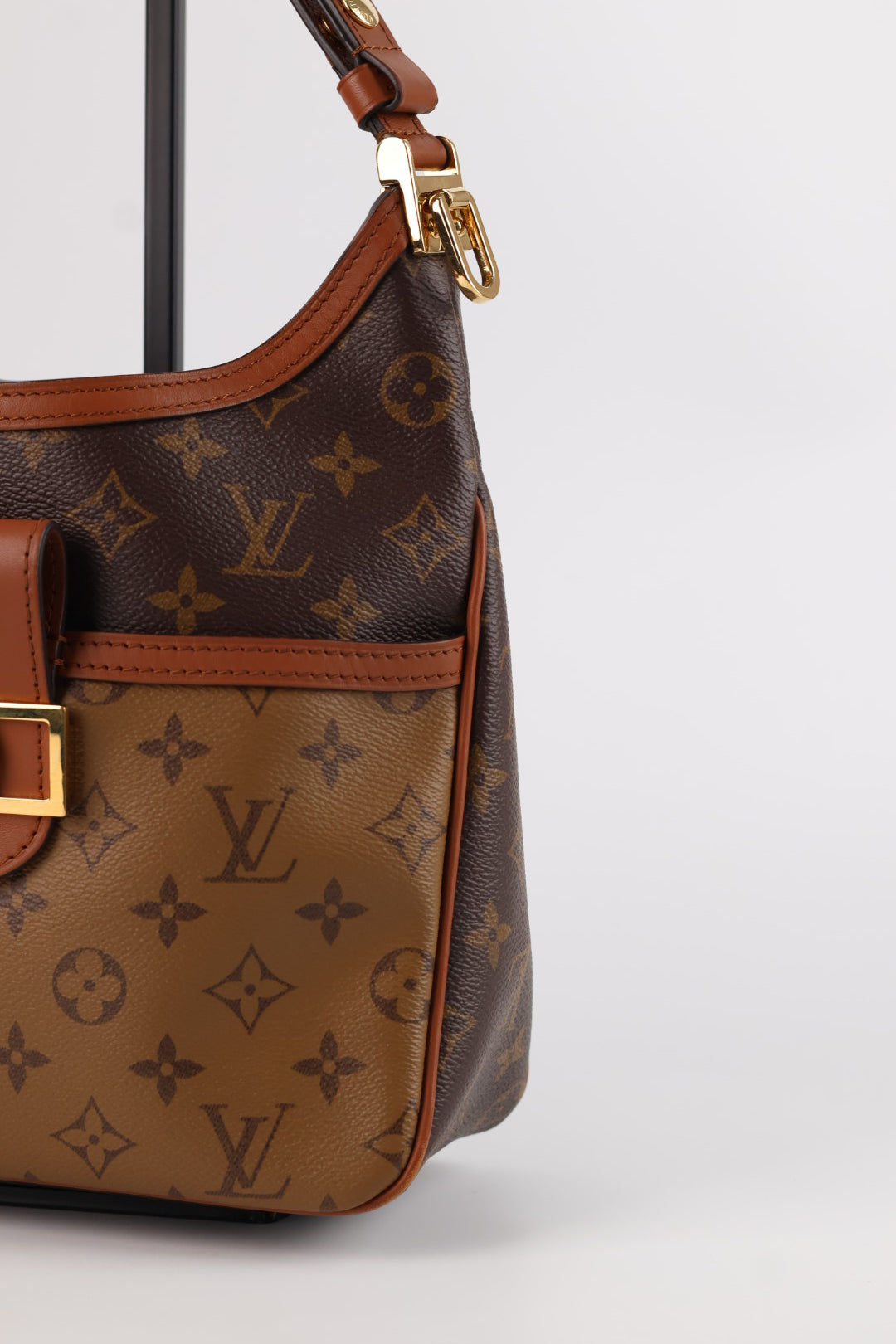 Louis Vuitton Dauphine Hobo Monogram