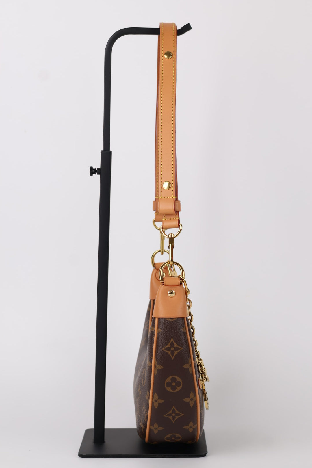 Louis Vuitton Mini Loop Monogram