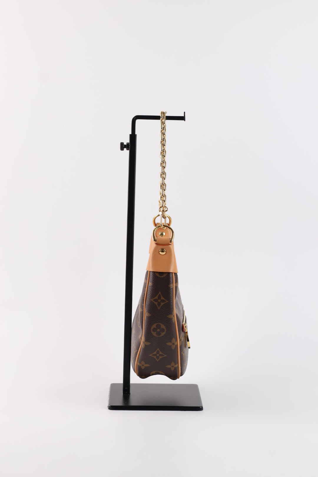 Louis Vuitton Loop Monogram