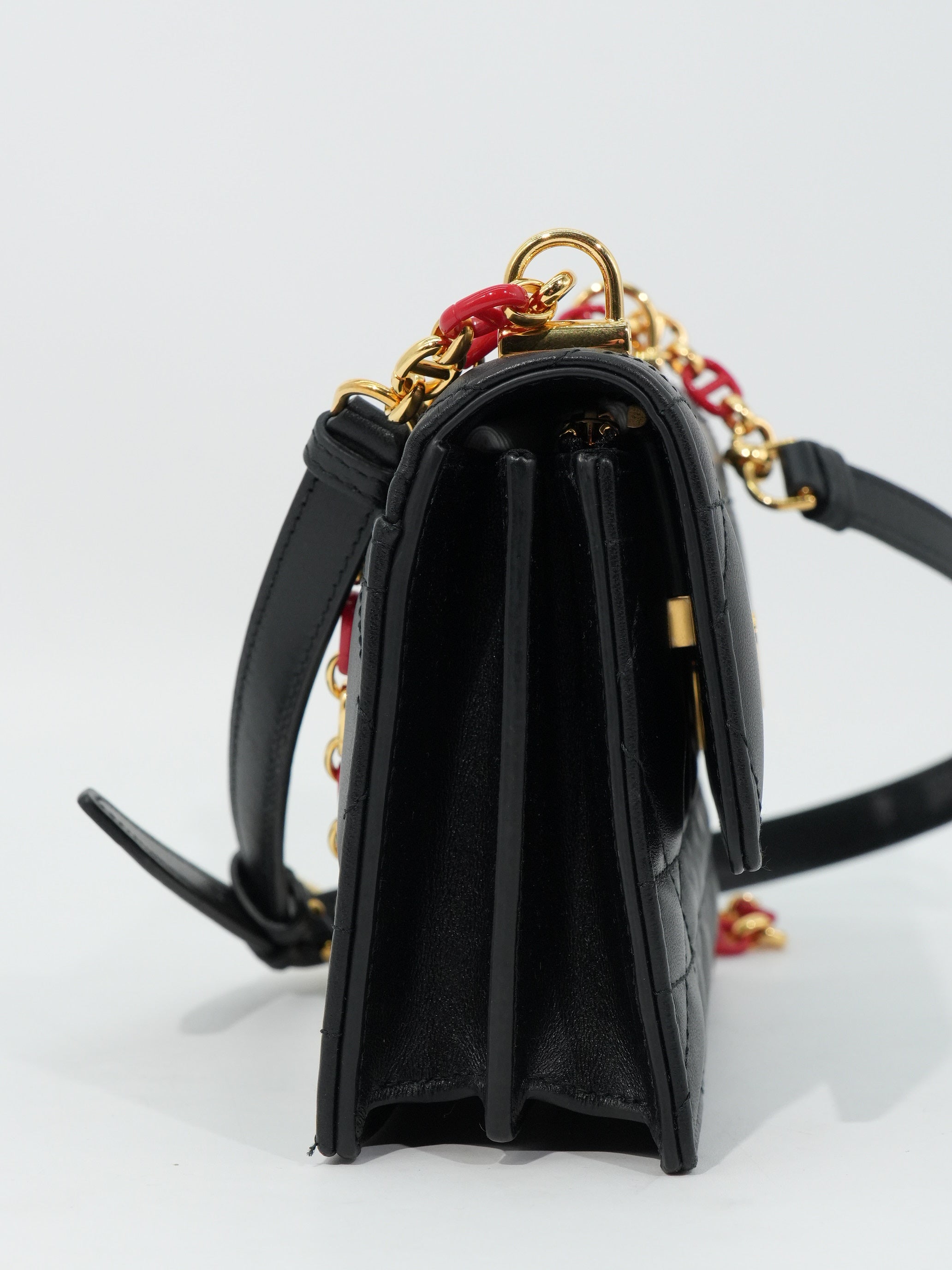 Dior Miss Caro Mini Dioramour