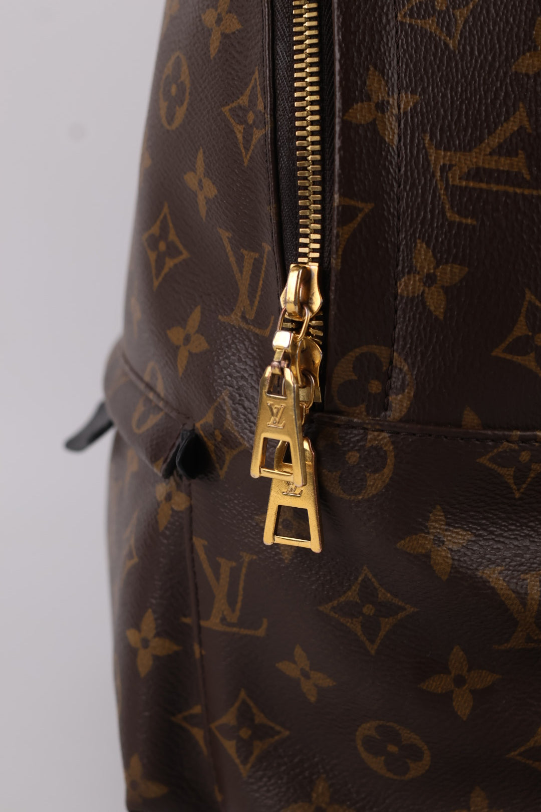 Louis Vuitton Palm Spring MM Monogram