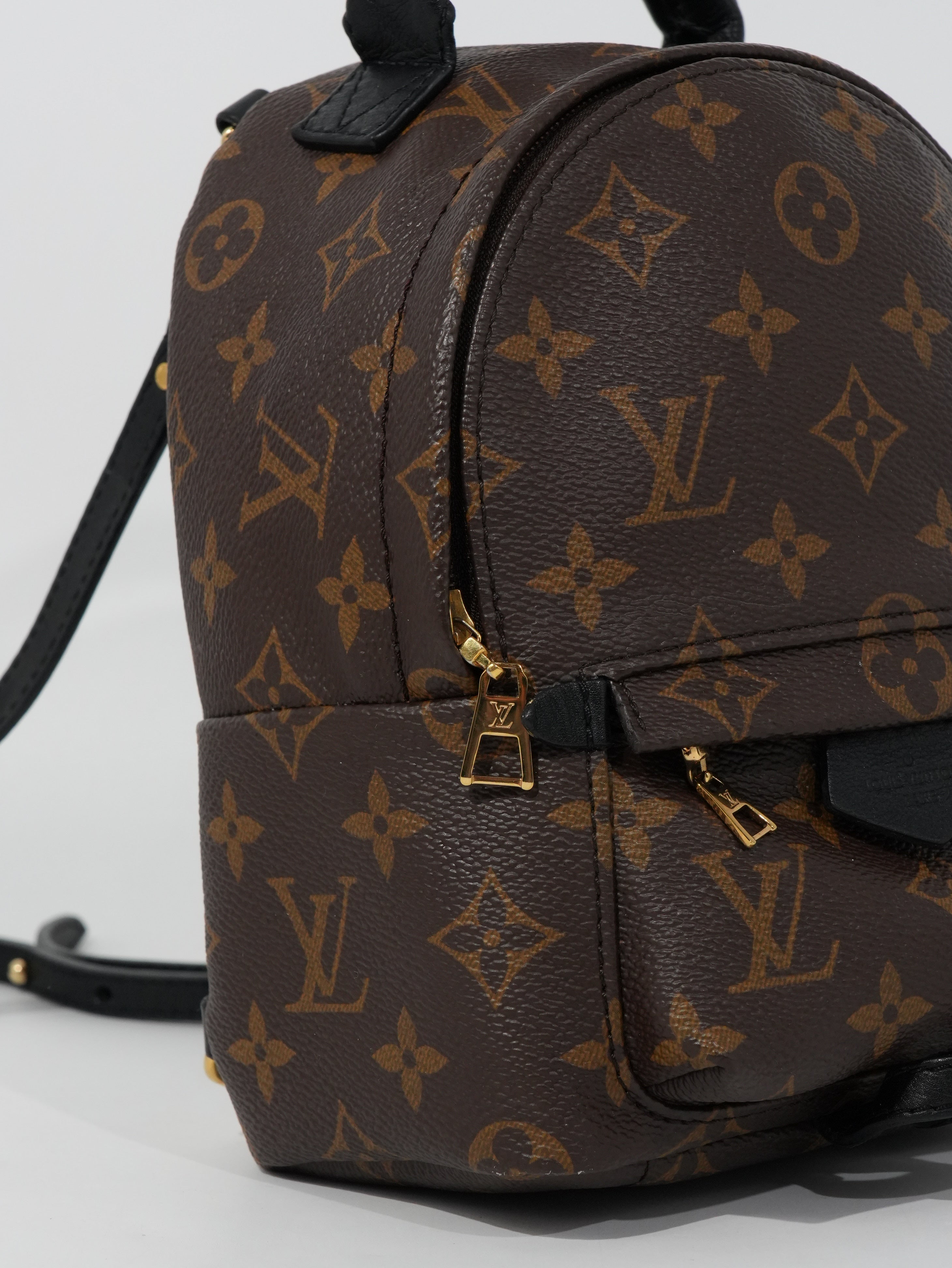 Louis Vuitton Mini Palm Spring