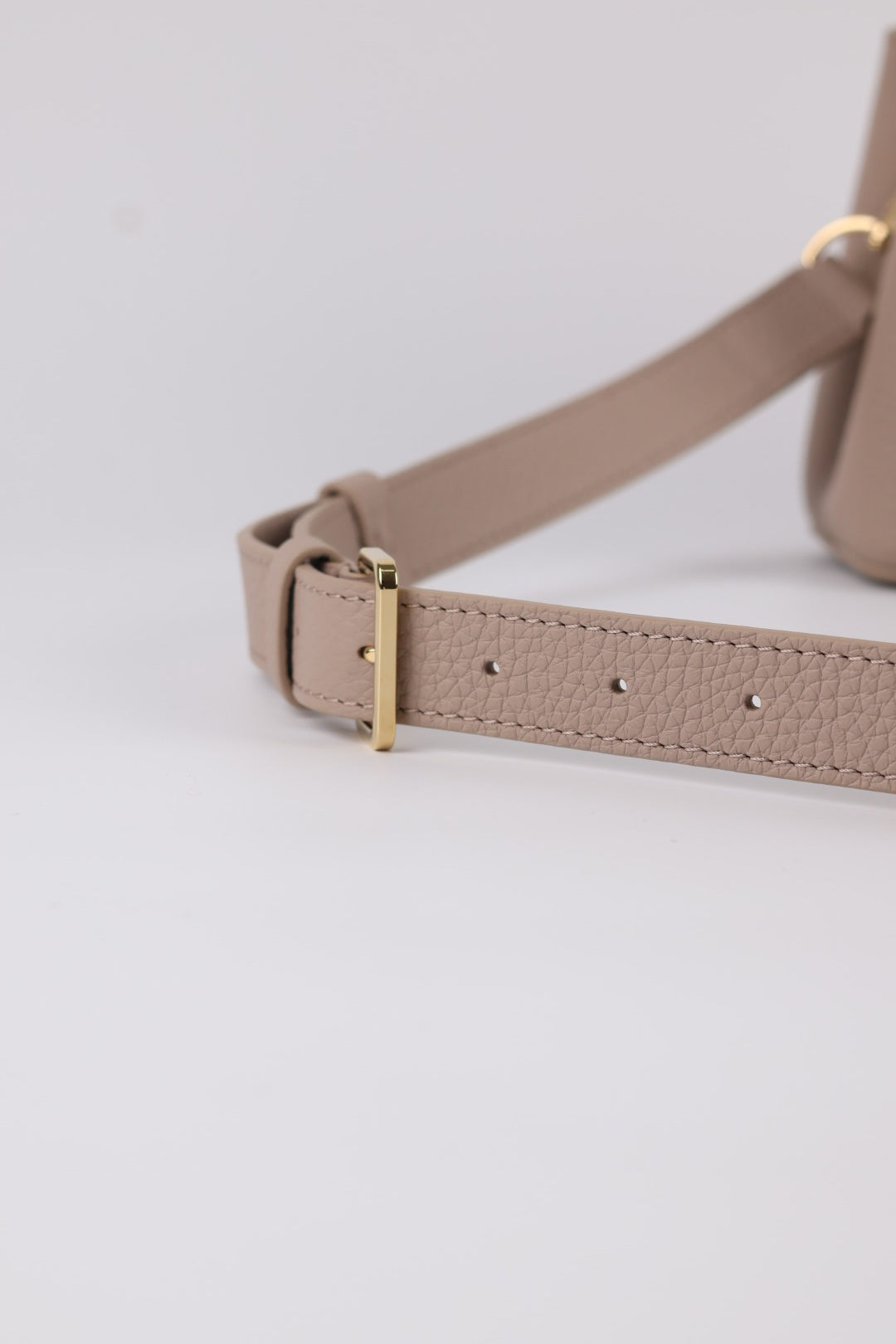 Louis Vuitton Capucines Mini