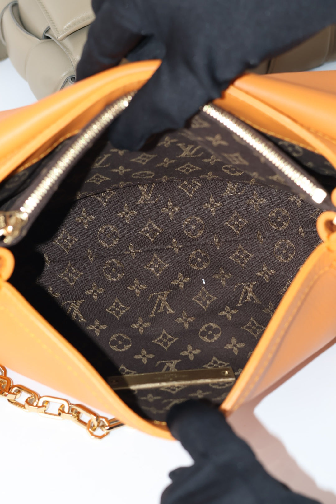 Louis Vuitton Dauphine Soft MM