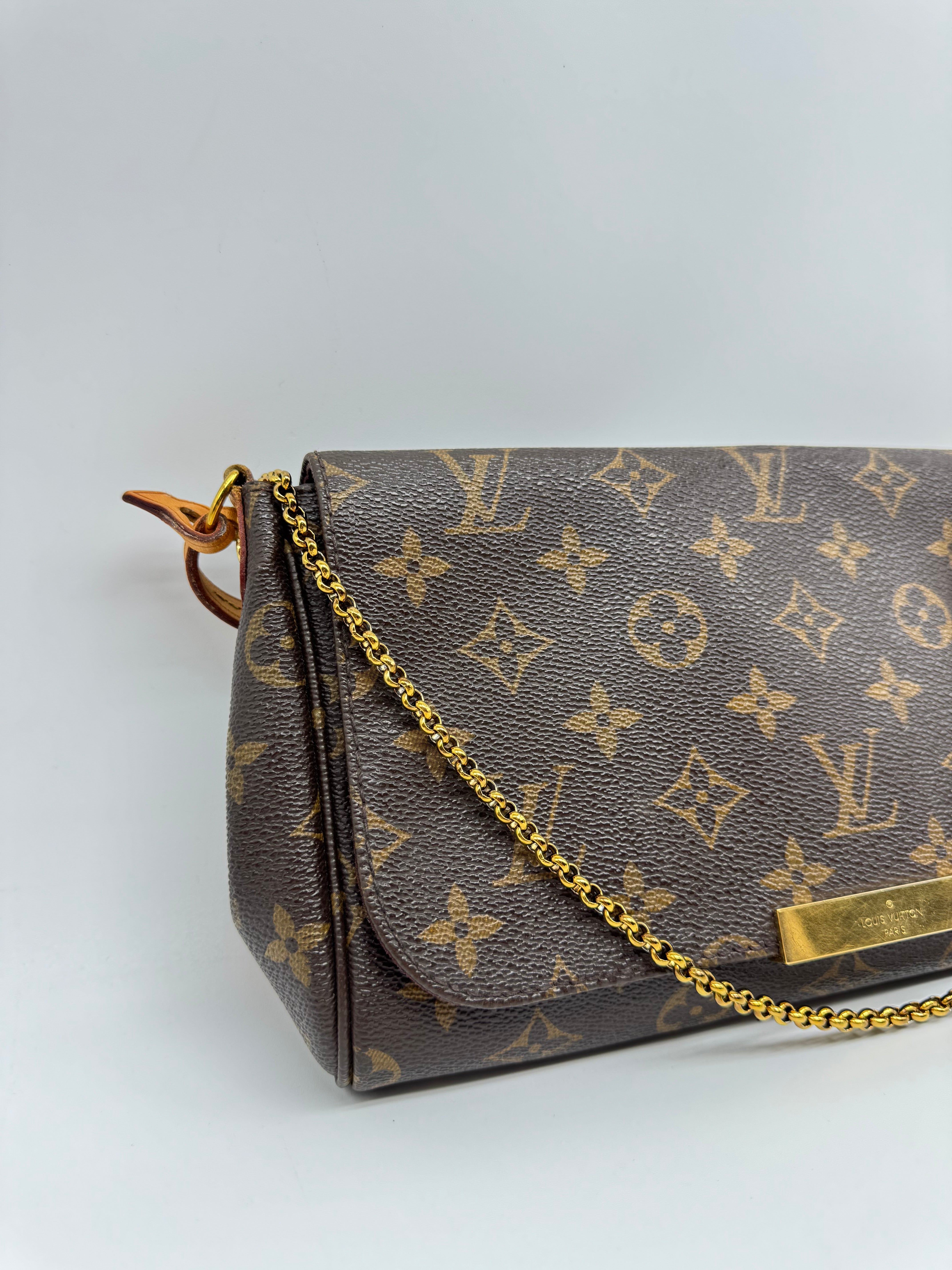 Louis Vuitton Favorite MM Monogram