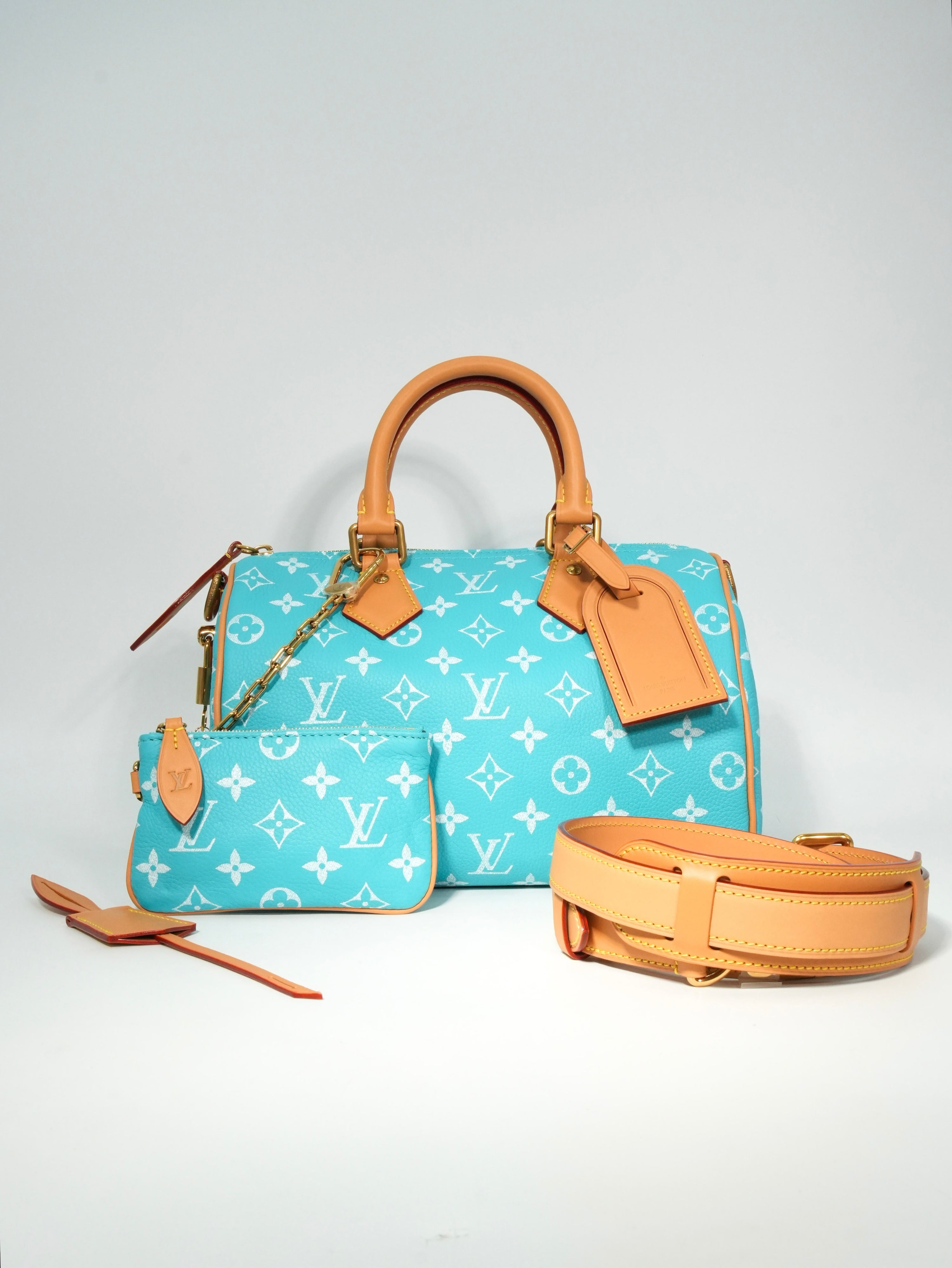 Louis Vuitton Speedy P9 Bandoulière 25