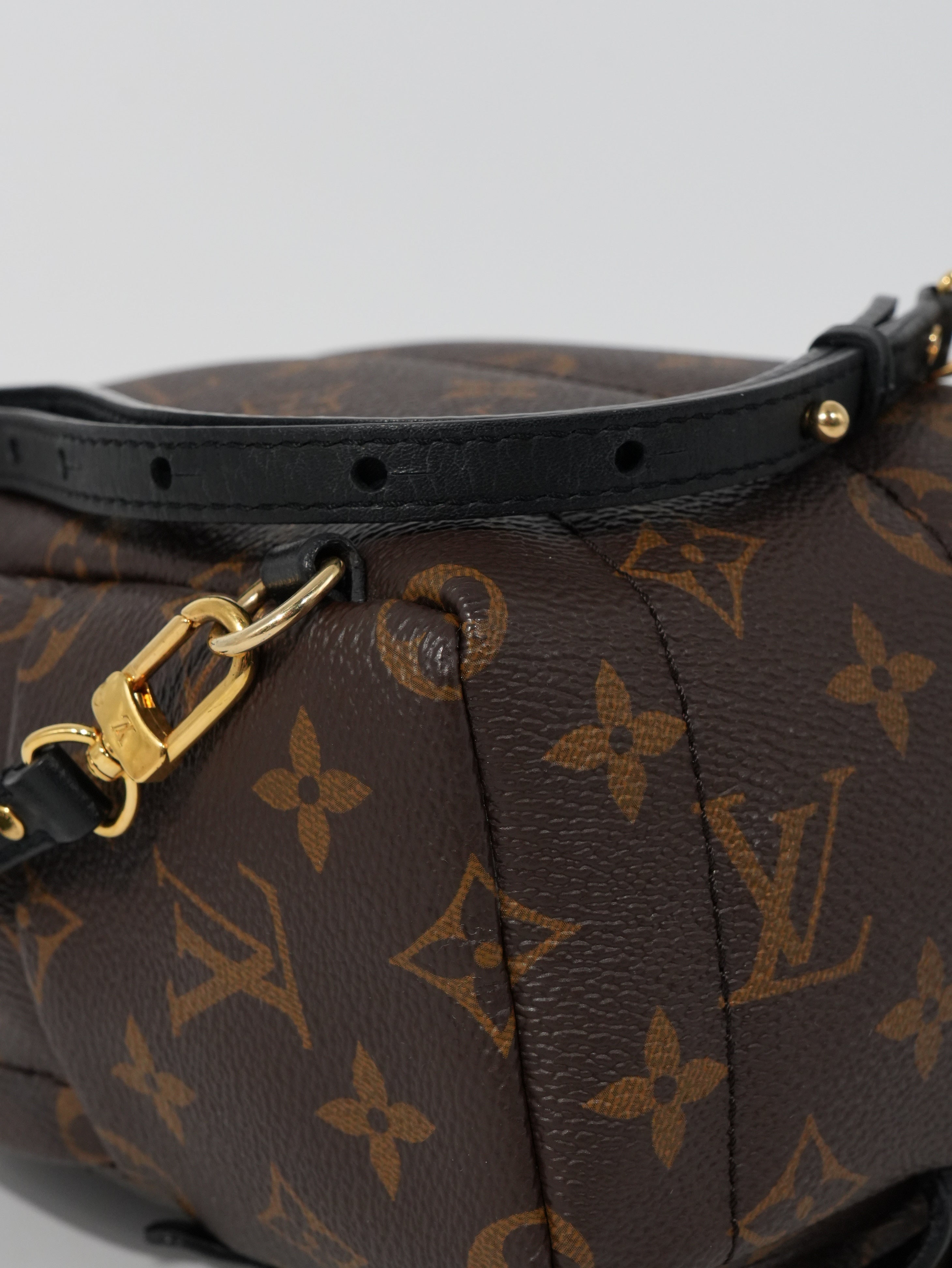 Louis Vuitton Mini Palm Spring