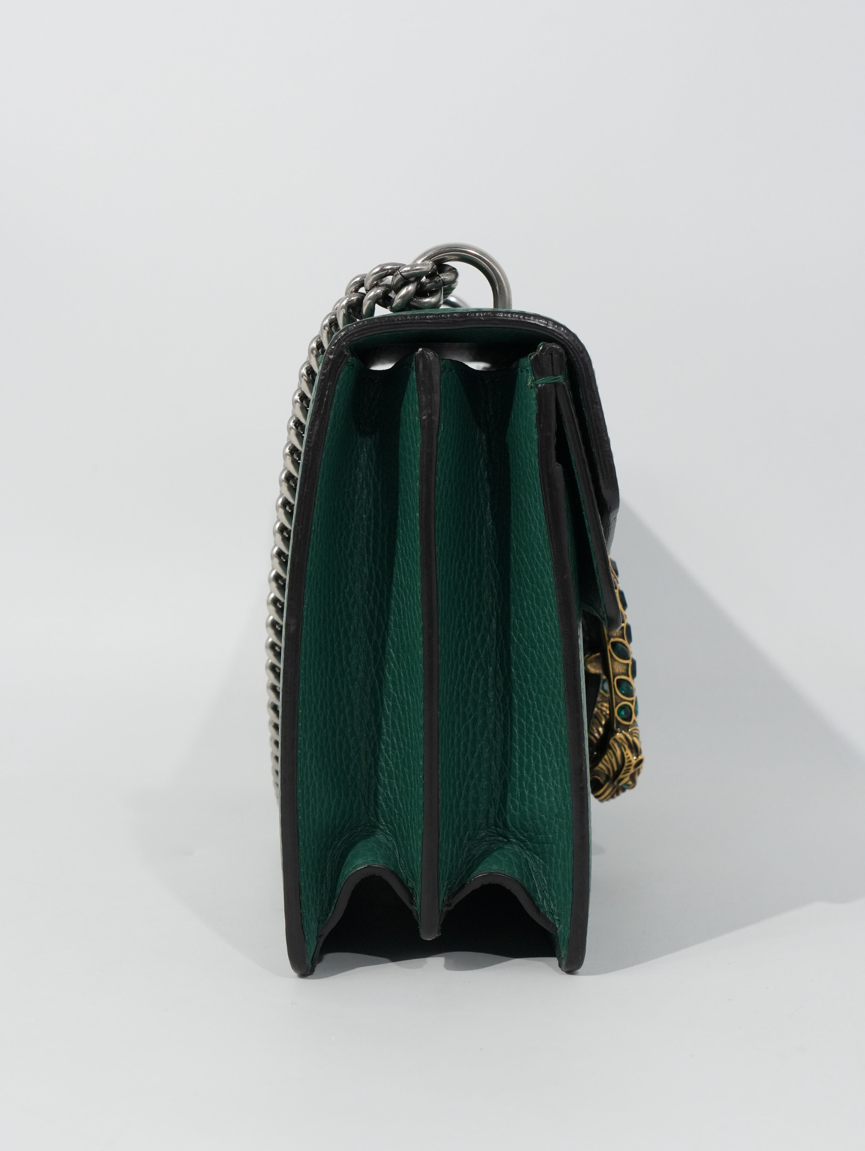 Gucci Dionysus in Pelle