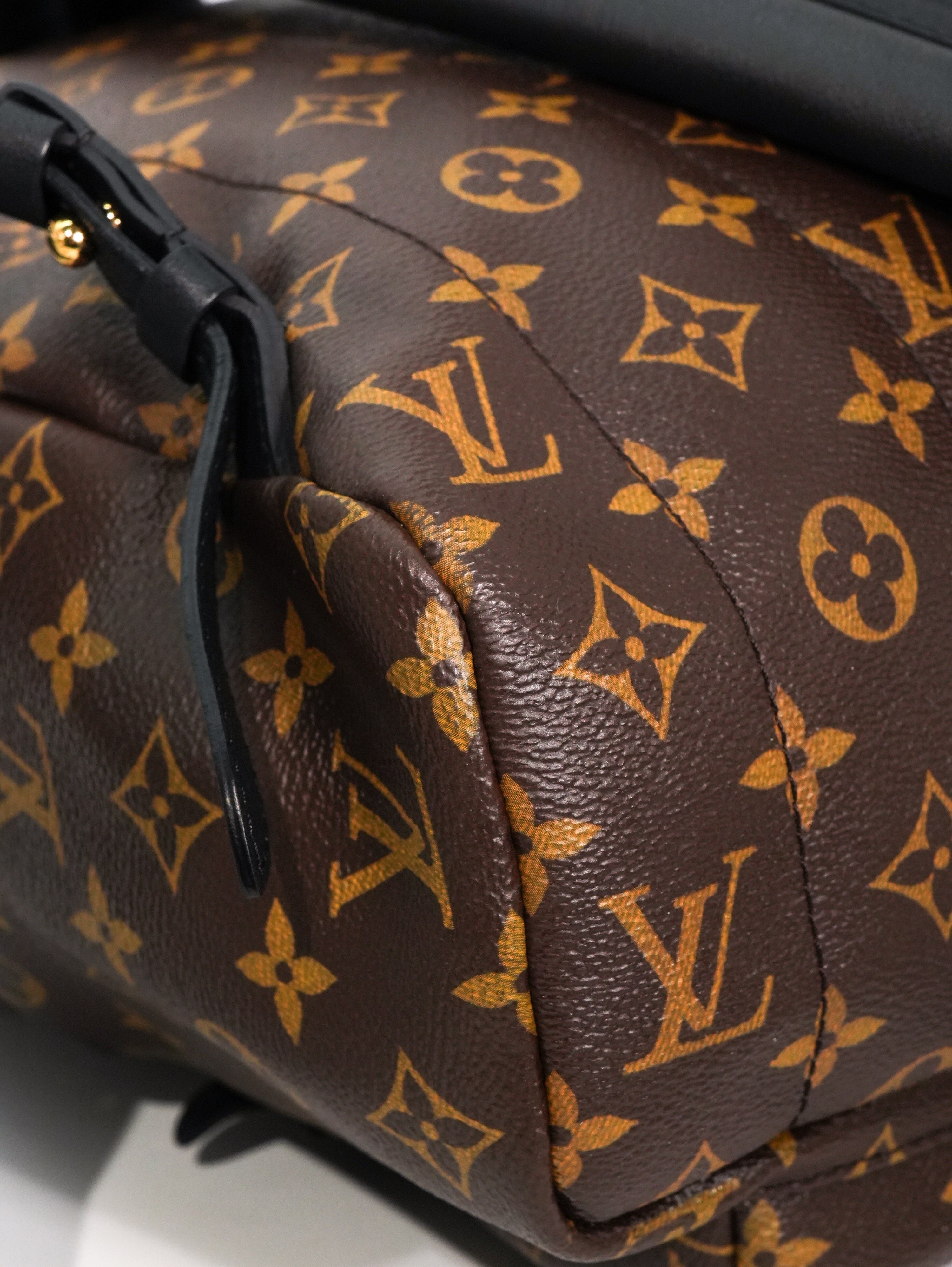 Louis Vuitton Palm Spring MM Monogram