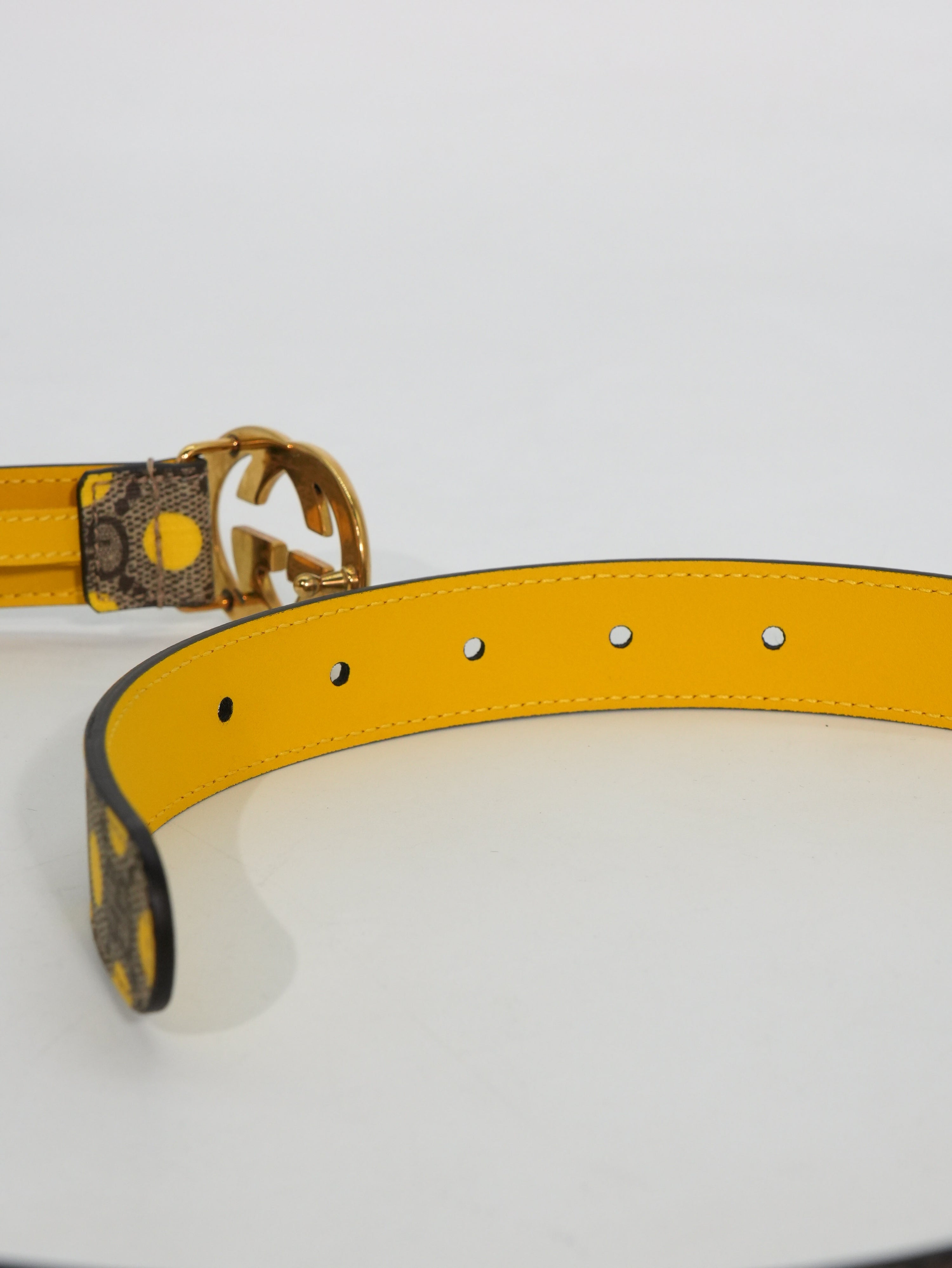 Gucci Cintura GG Supreme Pois