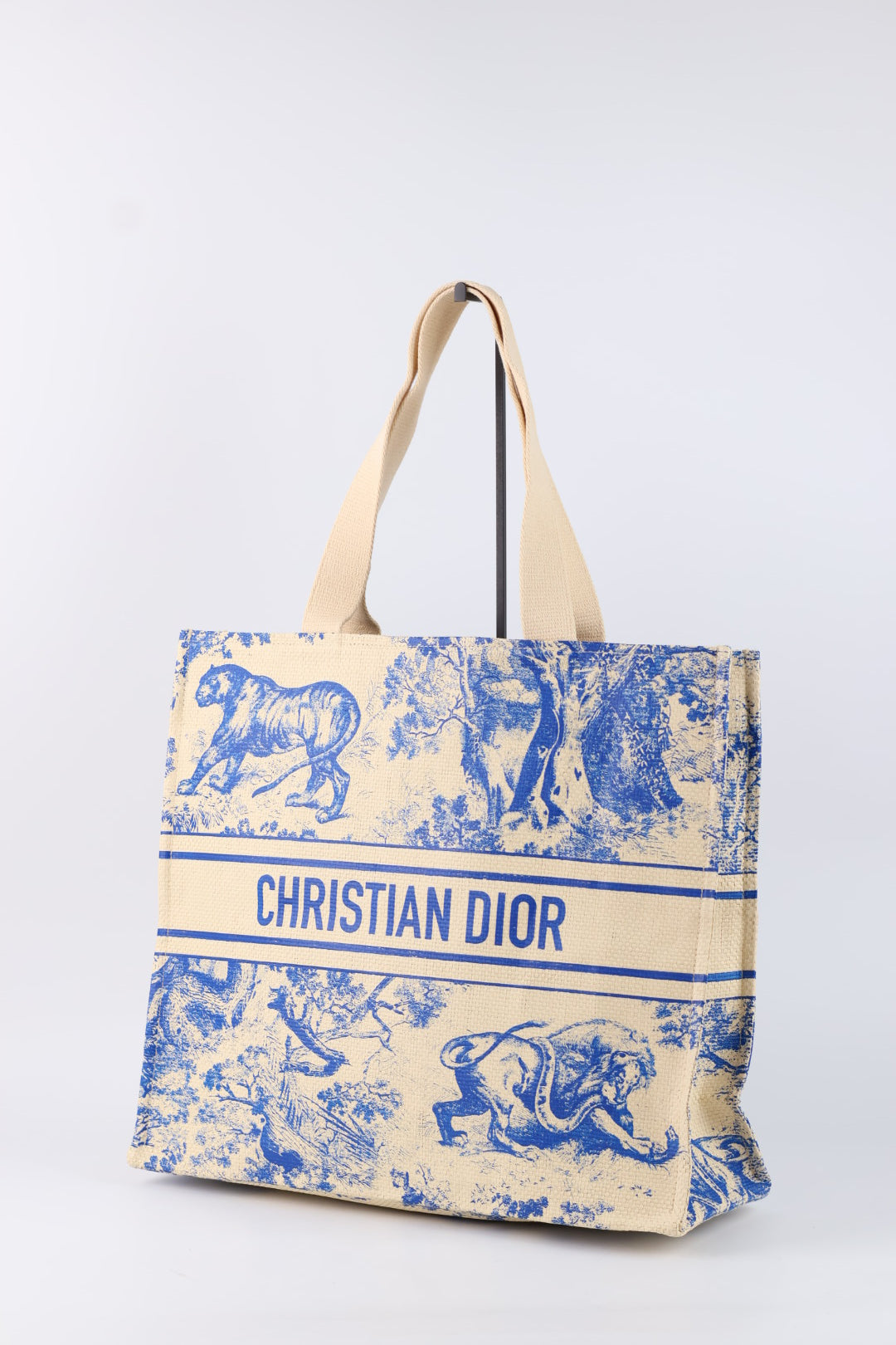 Dior Tote Riviera
