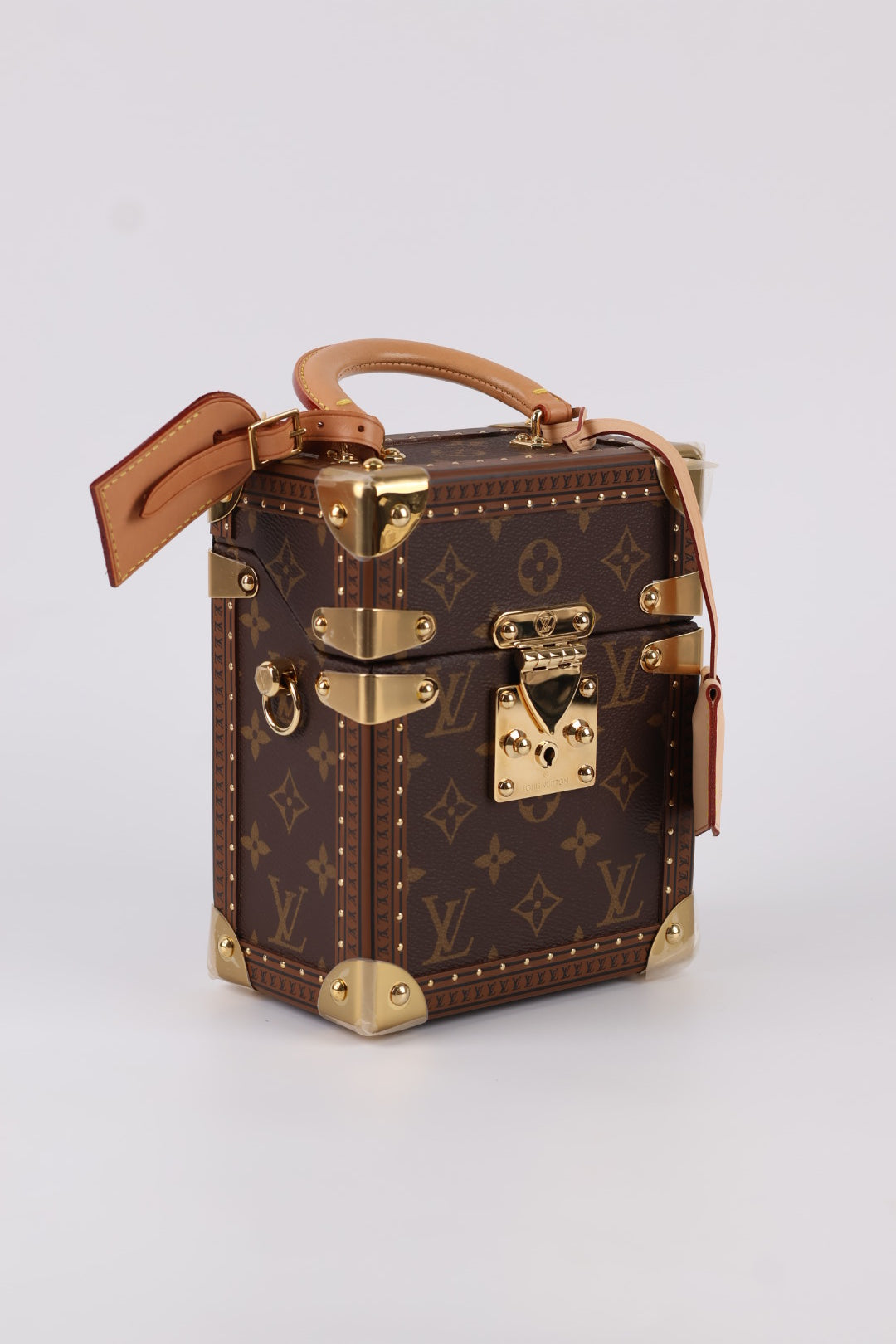 Louis Vuitton Camera Box Monogram
