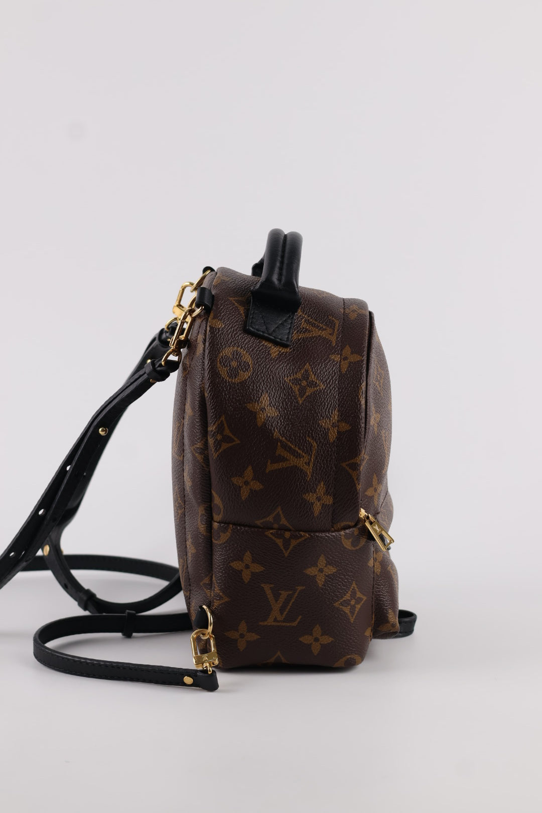 Louis Vuitton Mini Palm Spring Monogram
