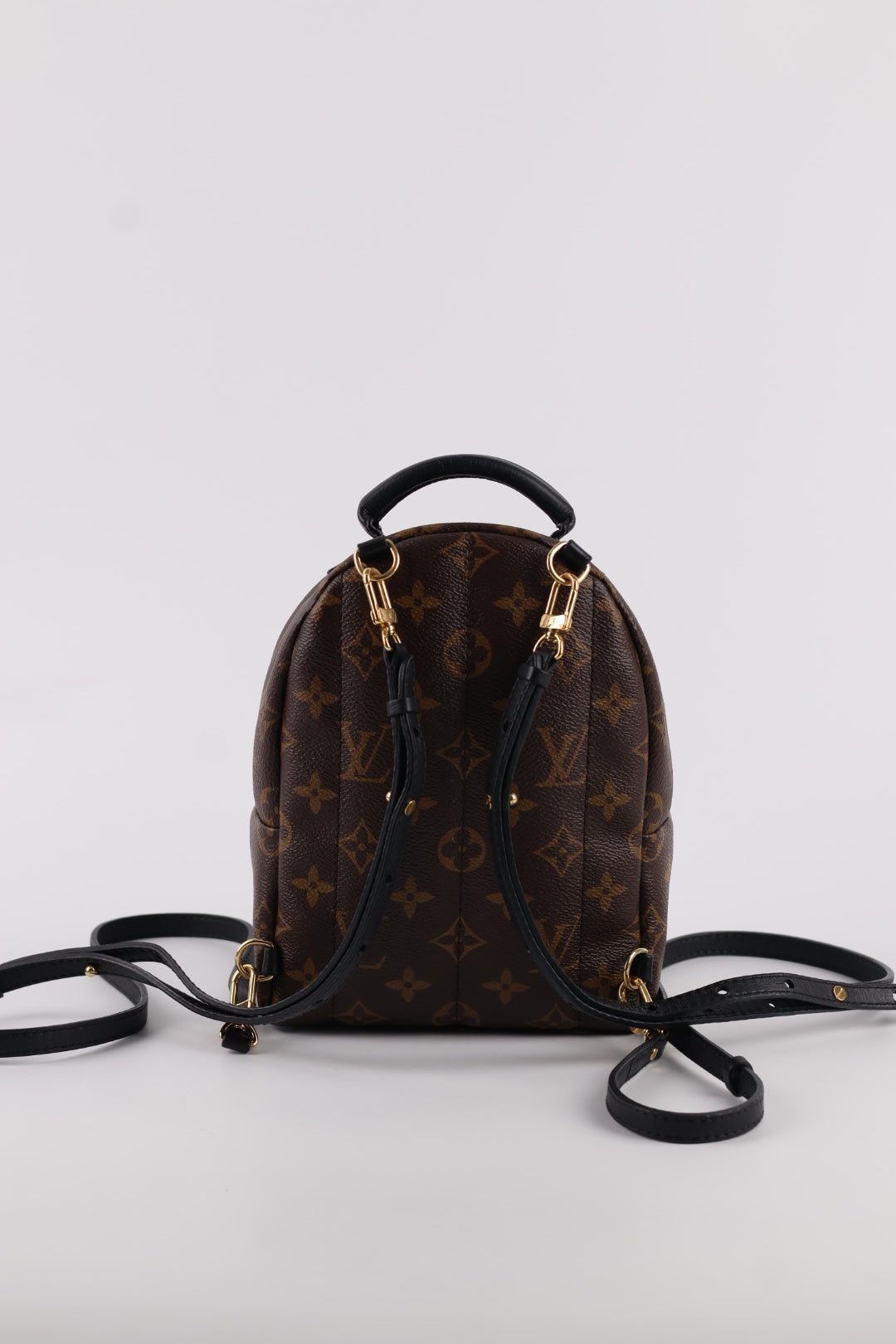 Louis Vuitton Mini Palm Spring Monogram