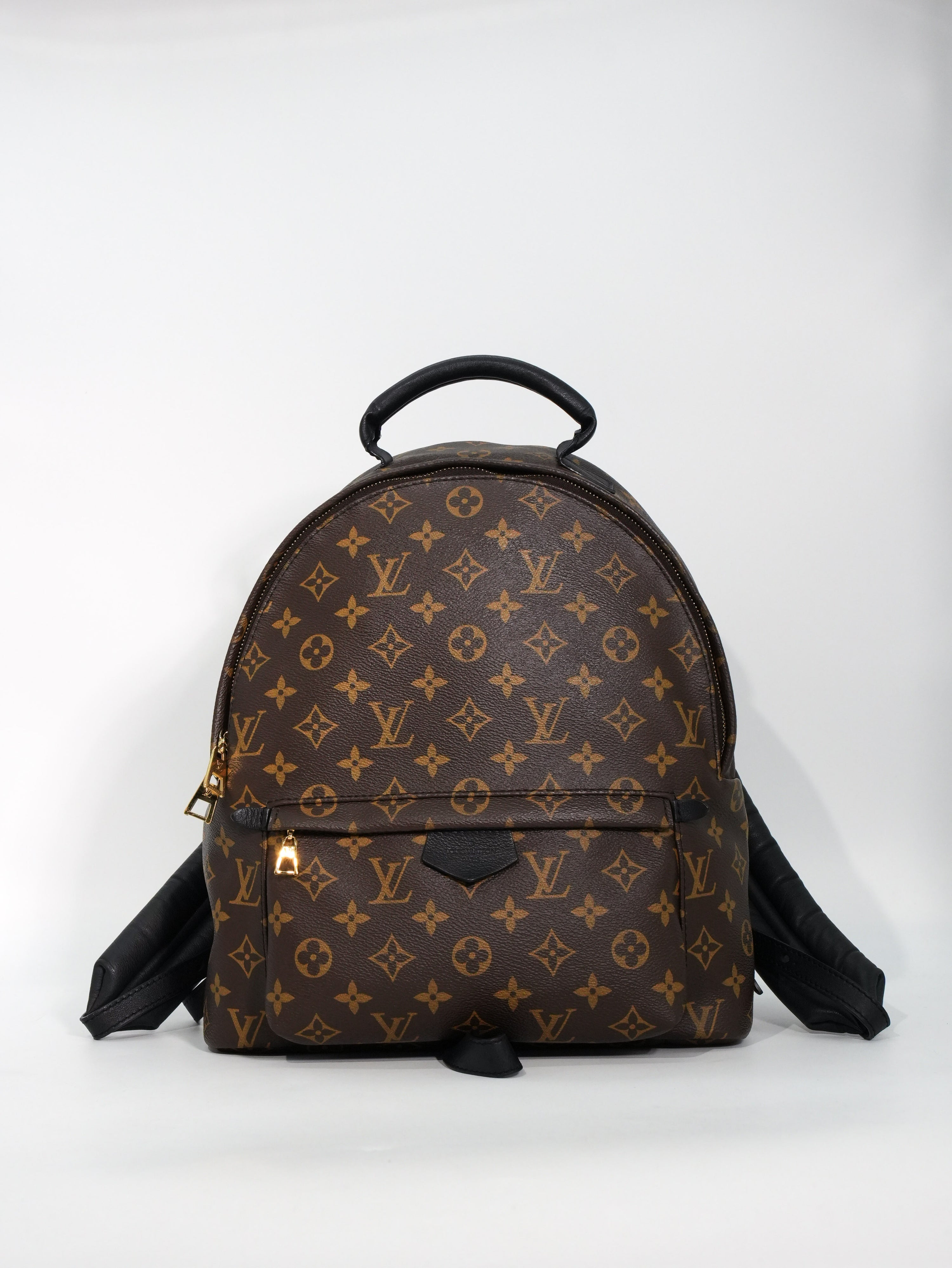 Louis Vuitton Palm Spring MM Monogram