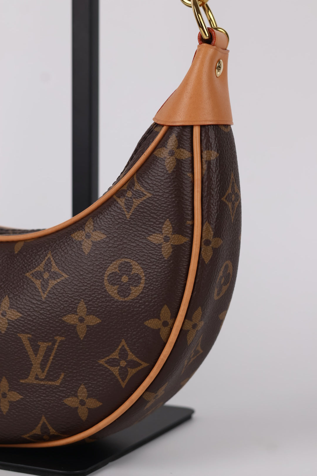 Louis Vuitton Mini Loop Monogram