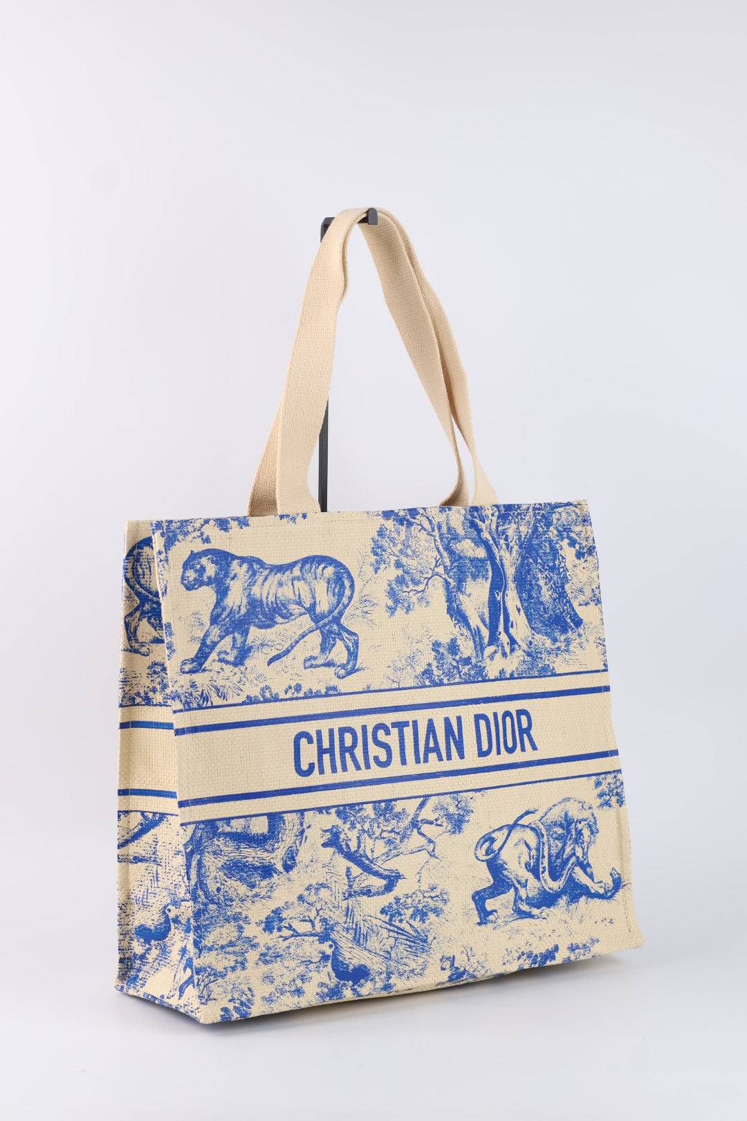 Dior Tote Riviera