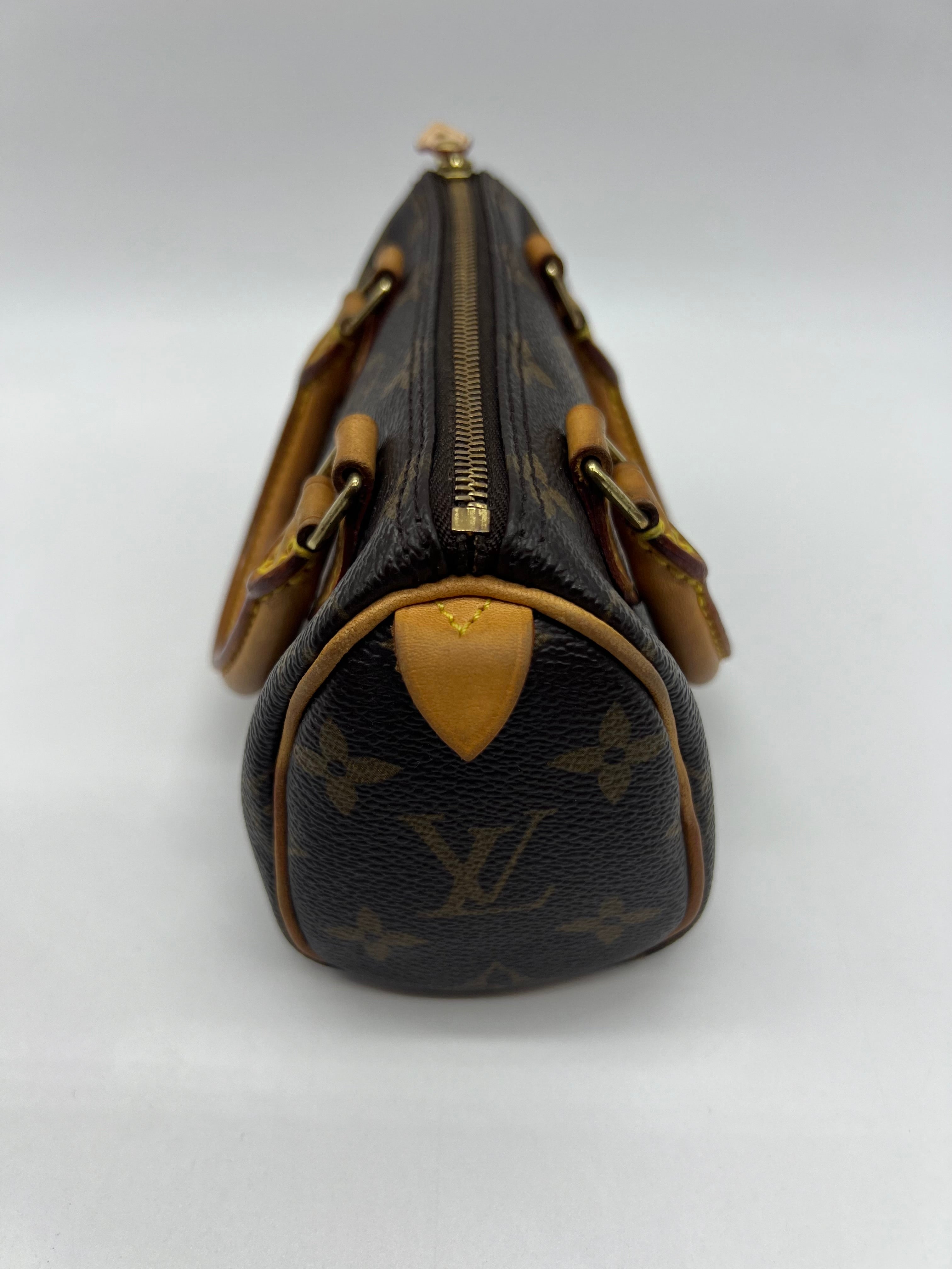 Louis Vuitton Nano Speedy Monogram